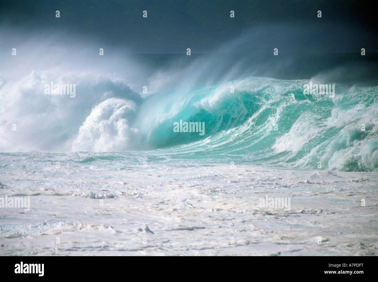 Grande vague d'hiver sur la rive nord de l'île d'Oahu, Hawaii USA Banque D'Images