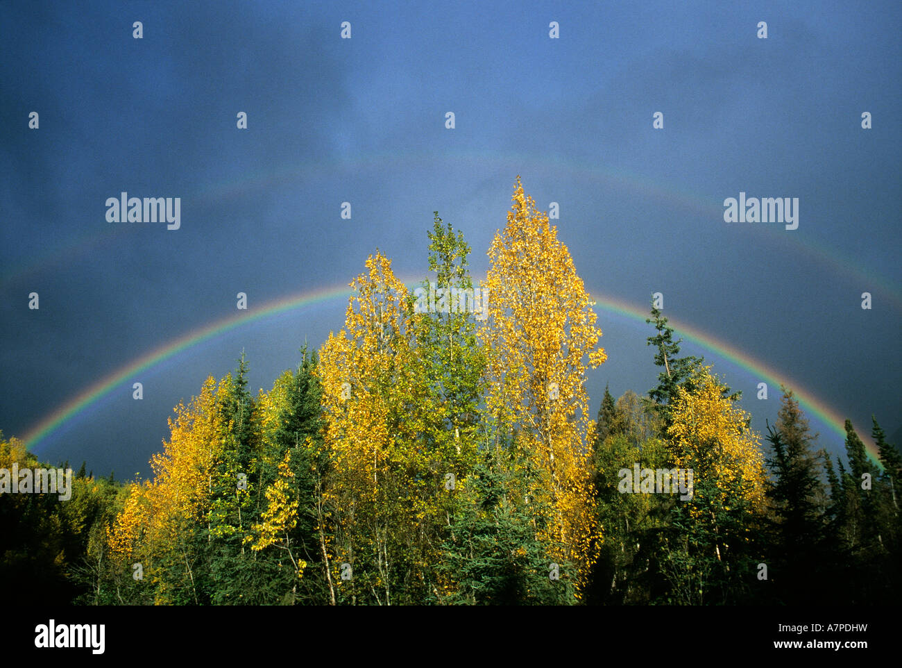 Double arc-en-ciel et la couleur de l'automne sur l'ouest de la péninsule de Kenai, Alaska USA Banque D'Images
