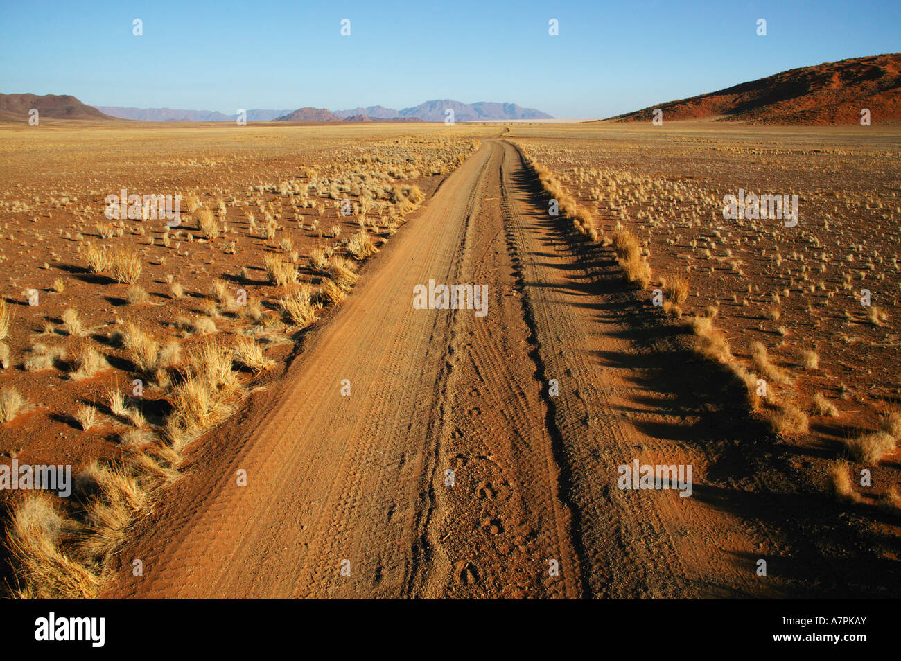 Un chemin de terre menant à la distance dans le désert du Namib en Namibie la Namibrand Nature Reserve Banque D'Images
