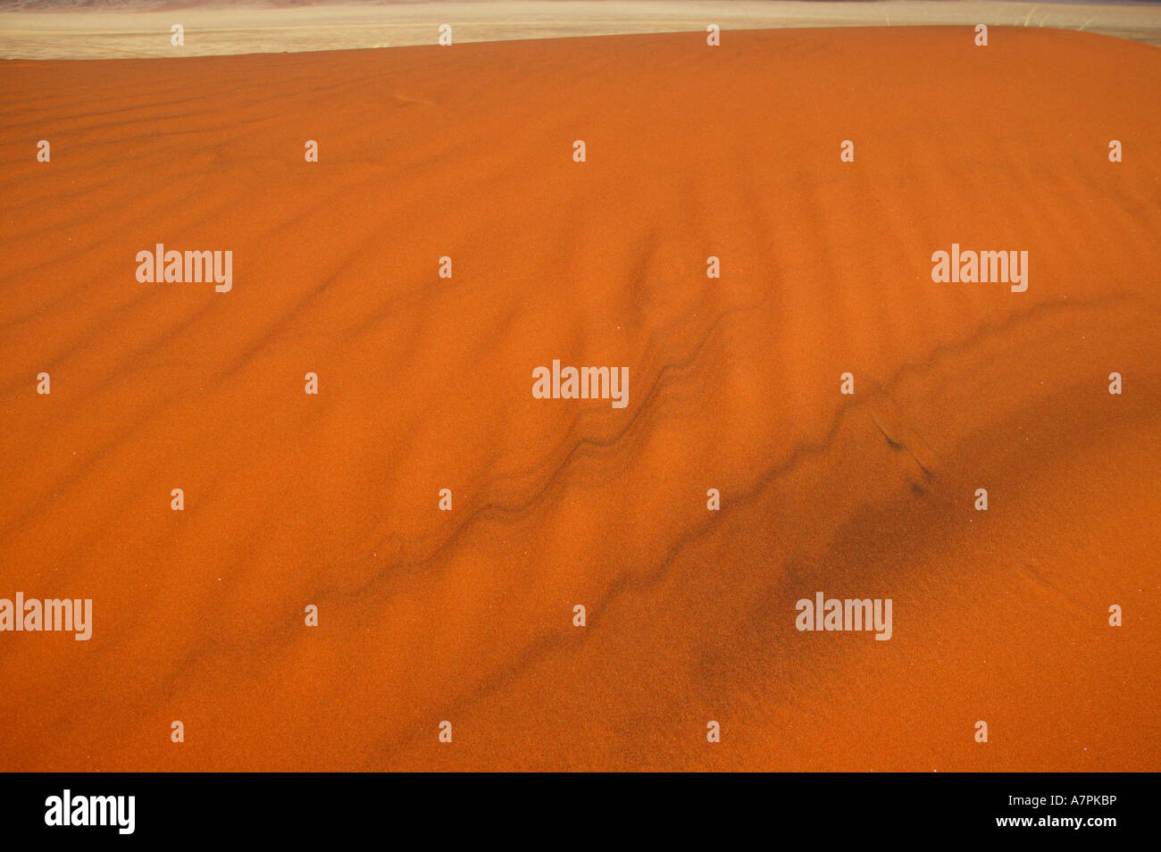 Des modèles dans une dune de sable Namibrand Nature Reserve La Namibie Banque D'Images