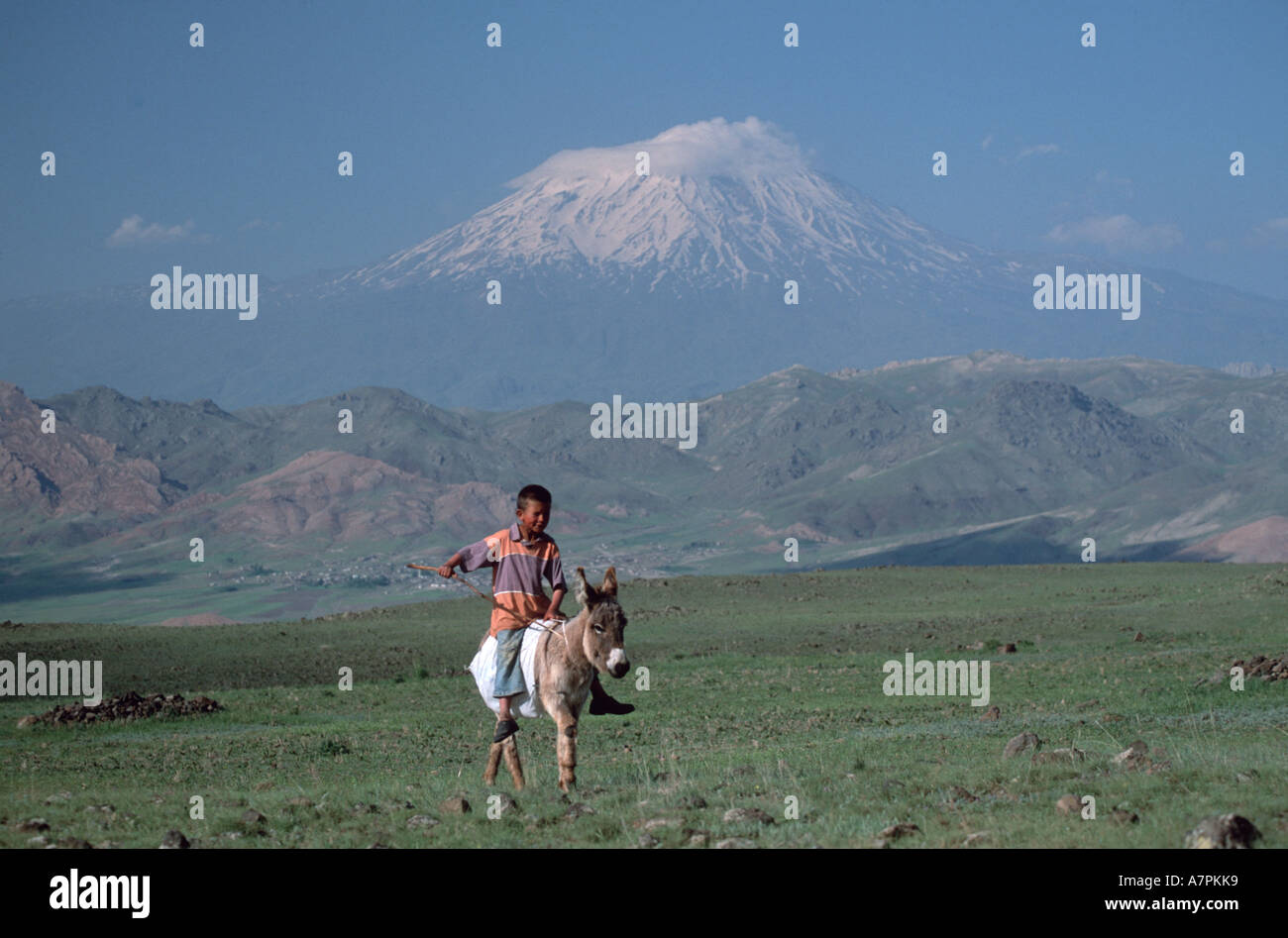 Enfant sur donkey en face d'Ararat (5165 m), plus haute montagne de Turquie , Turquie, Kurdistan, est de l'Anatolie Banque D'Images