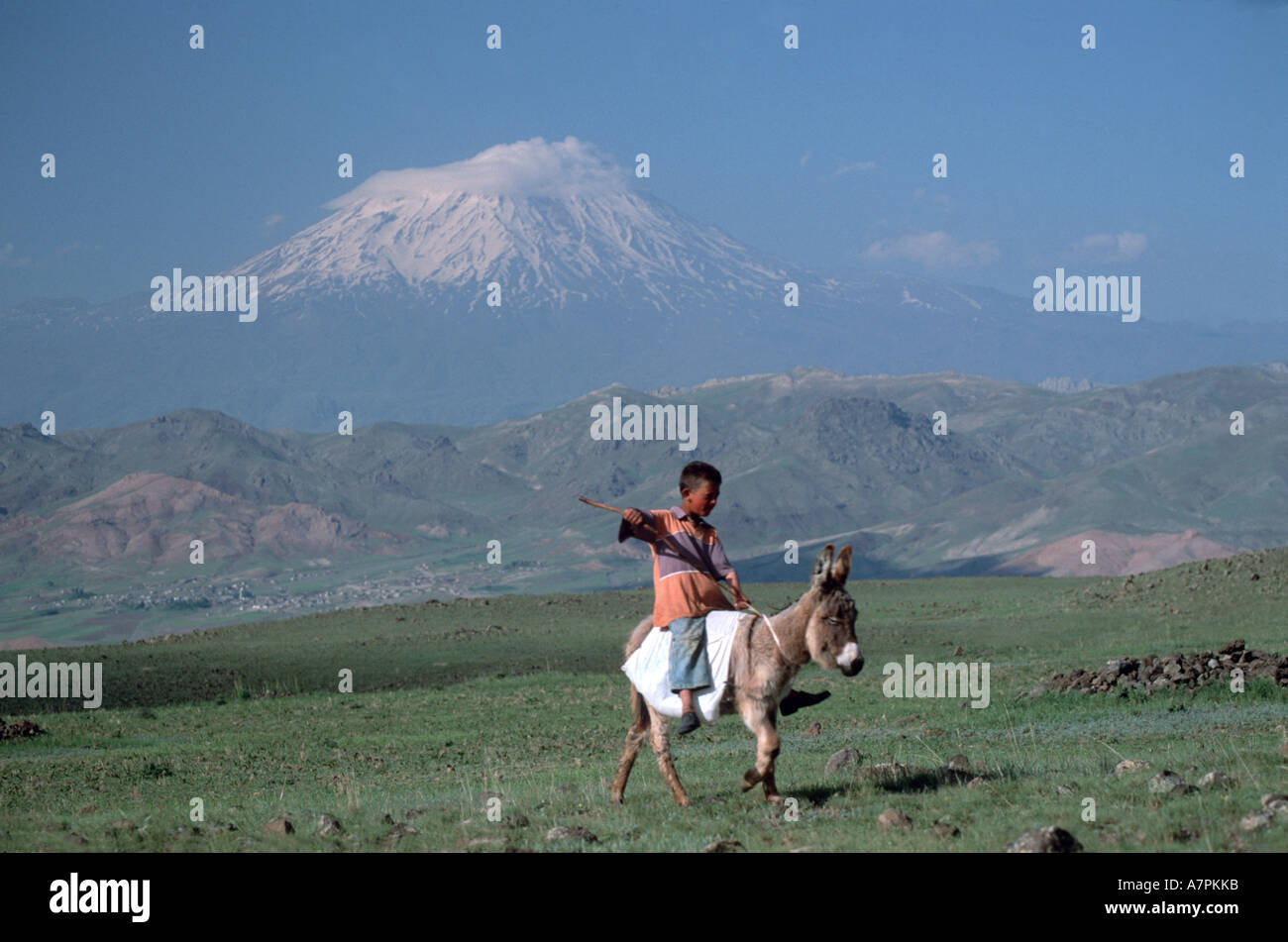 Enfant sur donkey en face d'Ararat. plus haute montagne de Turquie, Turquie, Kurdistan, est de l'Anatolie 5165 m Banque D'Images
