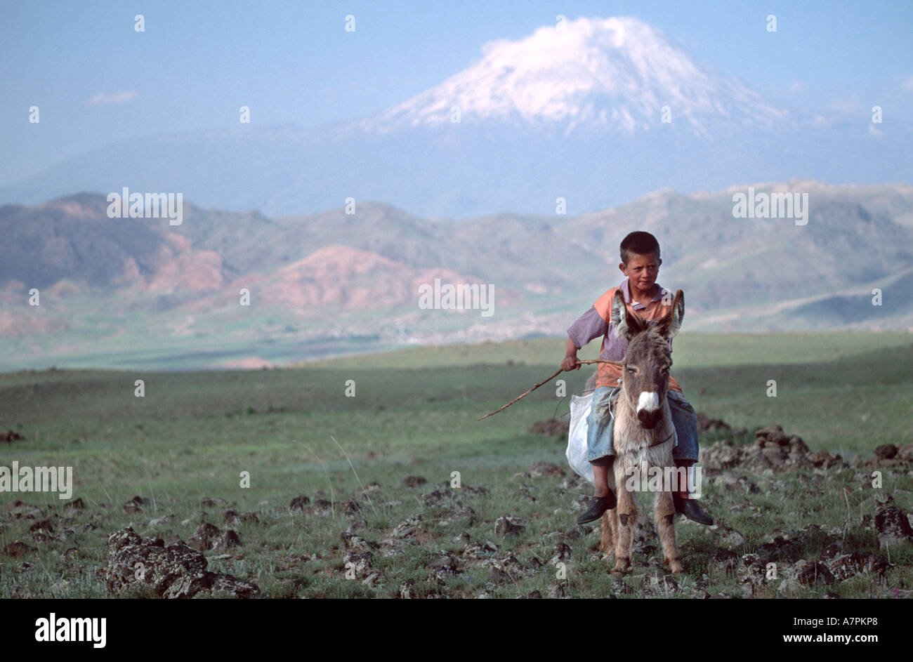 Enfant sur donkey en face d'Ararat Banque D'Images
