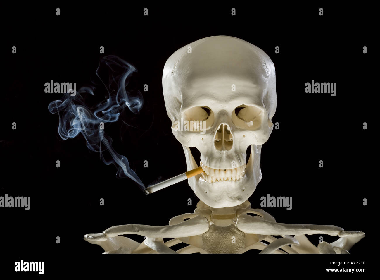 Crâne De Squelette Fumant Une Cigarette