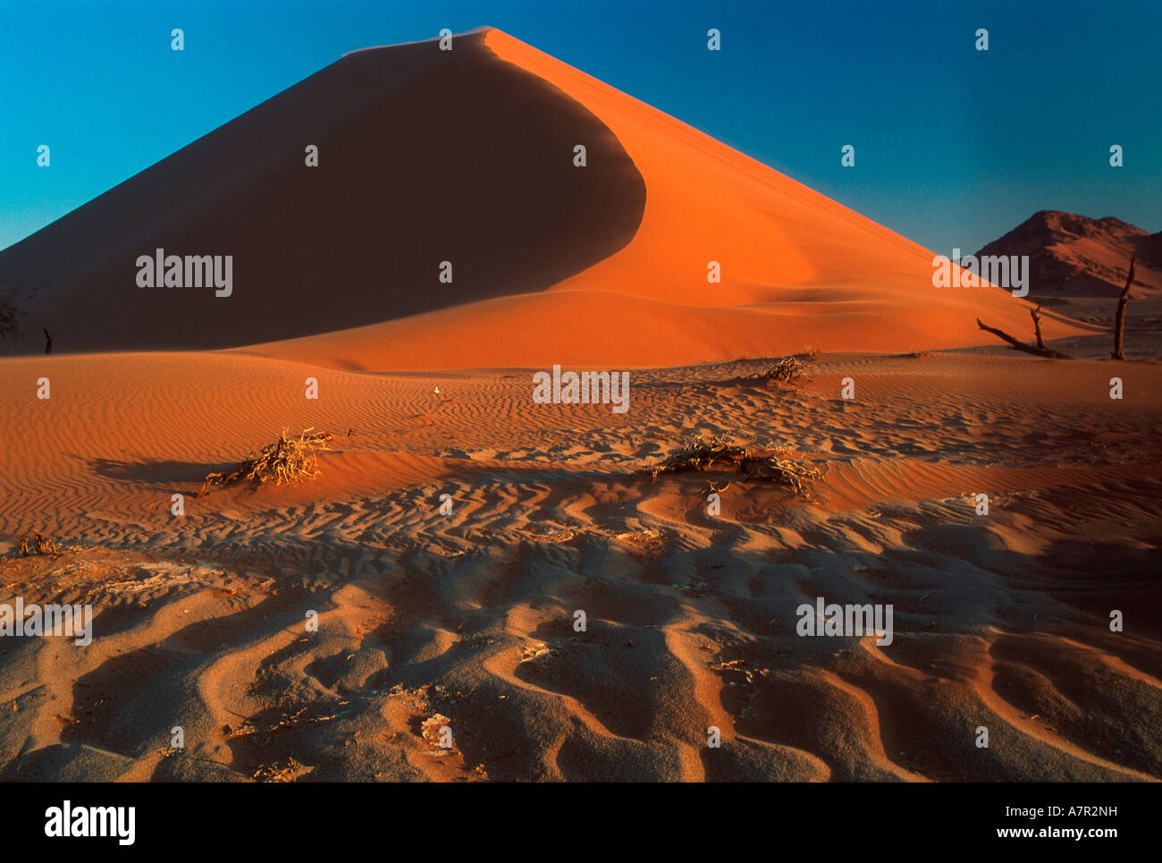 Du sable et des dunes de sable rouge dans le désert du Namib désert du Namib Namibie Sossusvlei Banque D'Images