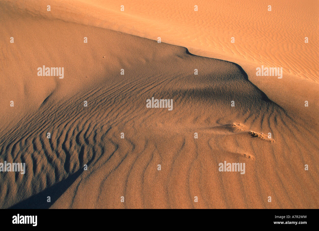 Close up de textures et motifs dans le sable du désert du Namib désert du Namib Namibie Sossusvlei Banque D'Images