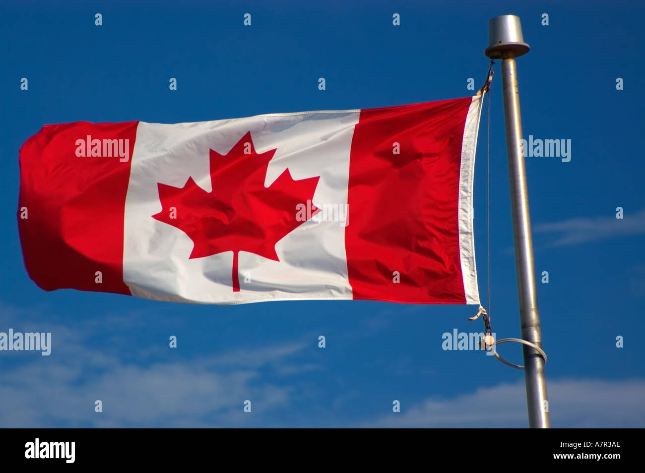 Drapeau Canada Banque D Image Et Photos Alamy Drapeau Canada Banque D Image Et Photos Alamy