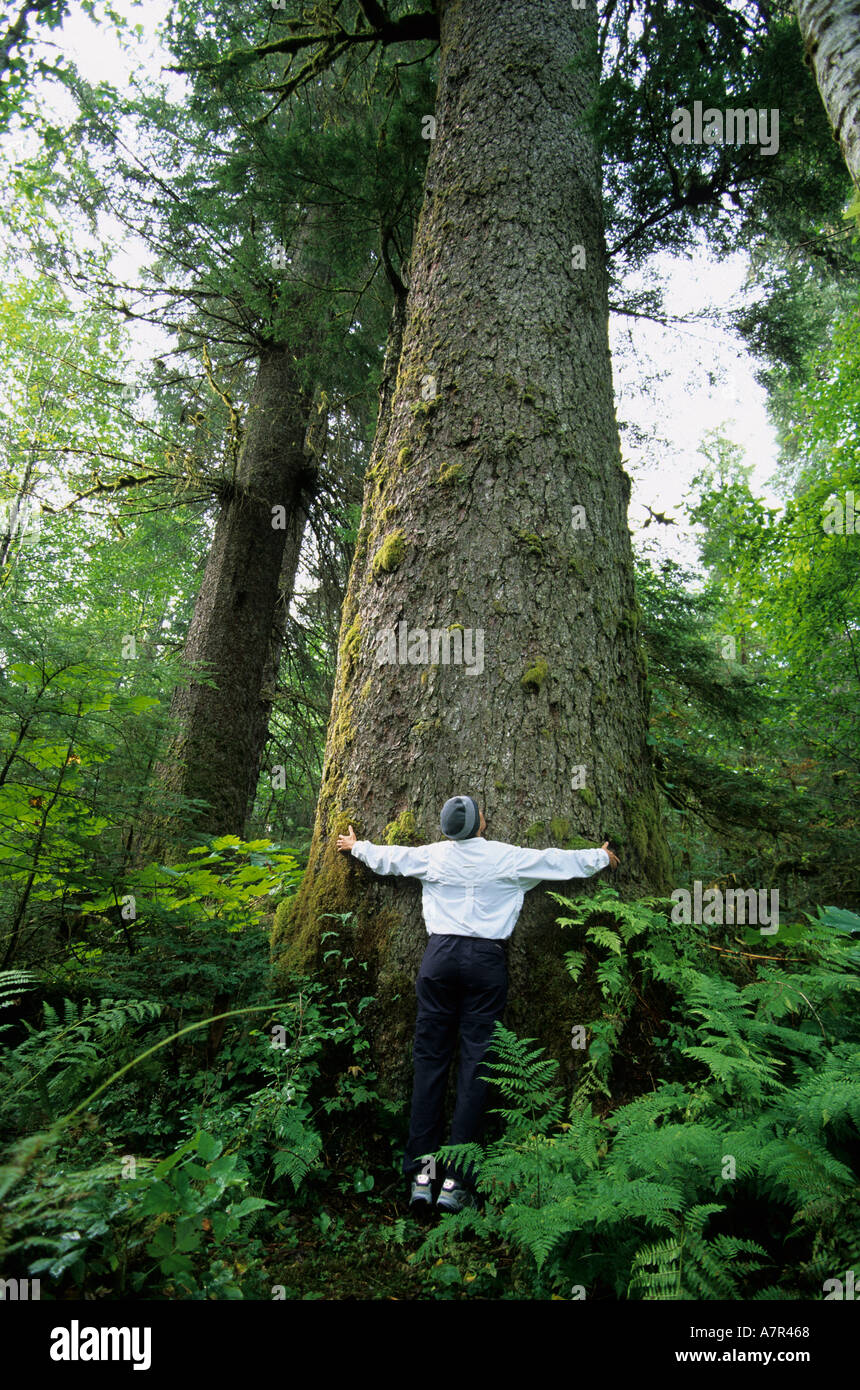 Tree Hugger sur île Mitkof dans le sud-est de l'Alaska, près de Saint-Pétersbourg Banque D'Images