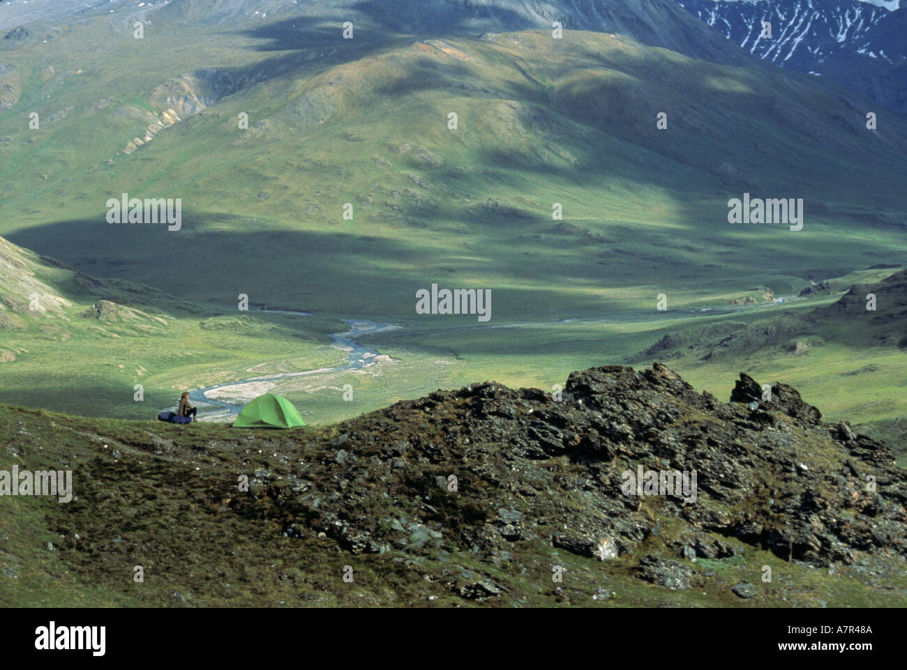 Alaska, rfna, Arctic National Wildlife Refuge, camp sur une crête dans les montagnes, juillet Banque D'Images