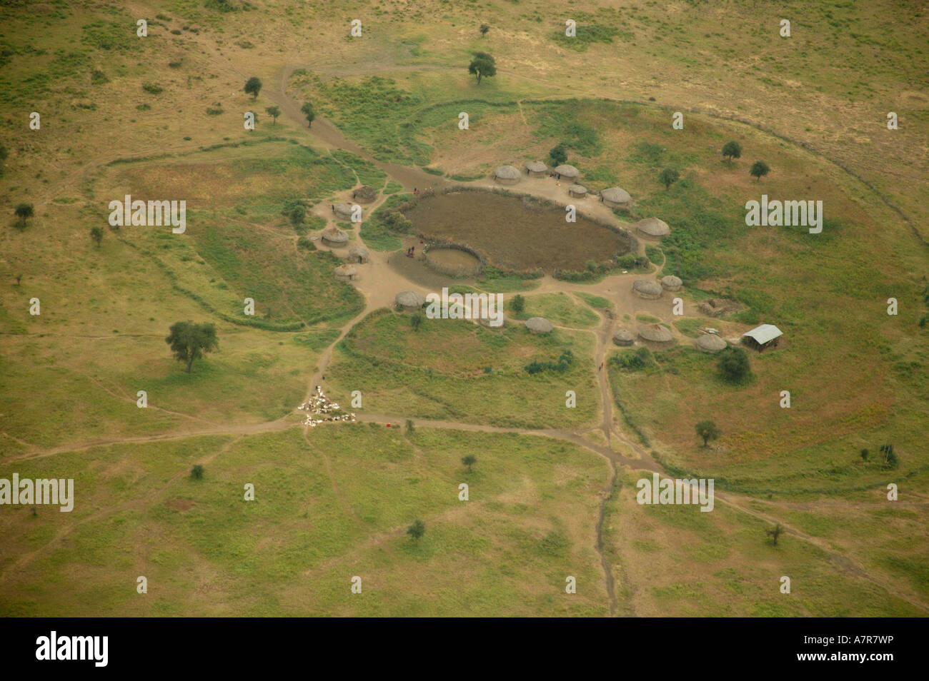 Une vue aérienne sur un homestead Masaai rural construit autour d'une chèvre et de bétail et kraal avec un réseau de chemins qui mènent d'eux Banque D'Images