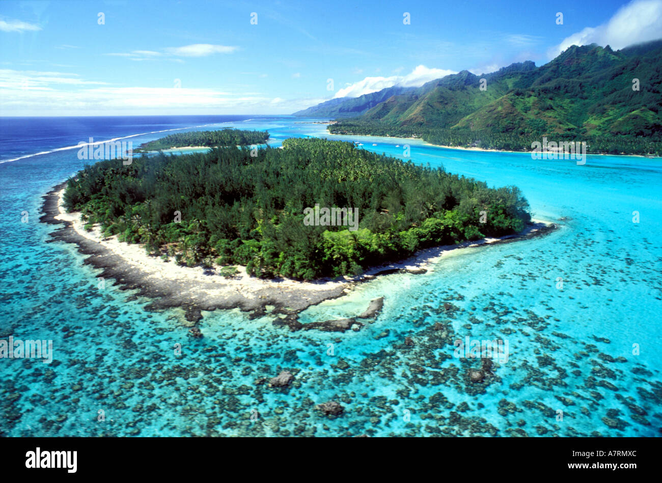 La France, la Polynésie française, l'île de Moorea, coraux bâtisseurs, un motu ou Coral Island (vue aérienne) Banque D'Images