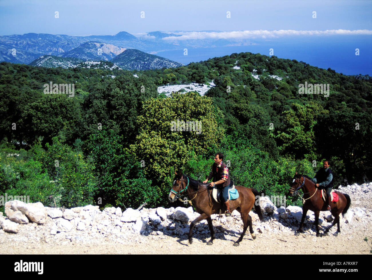 Horse riding sardinia Banque de photographies et d'images à haute  résolution - Alamy