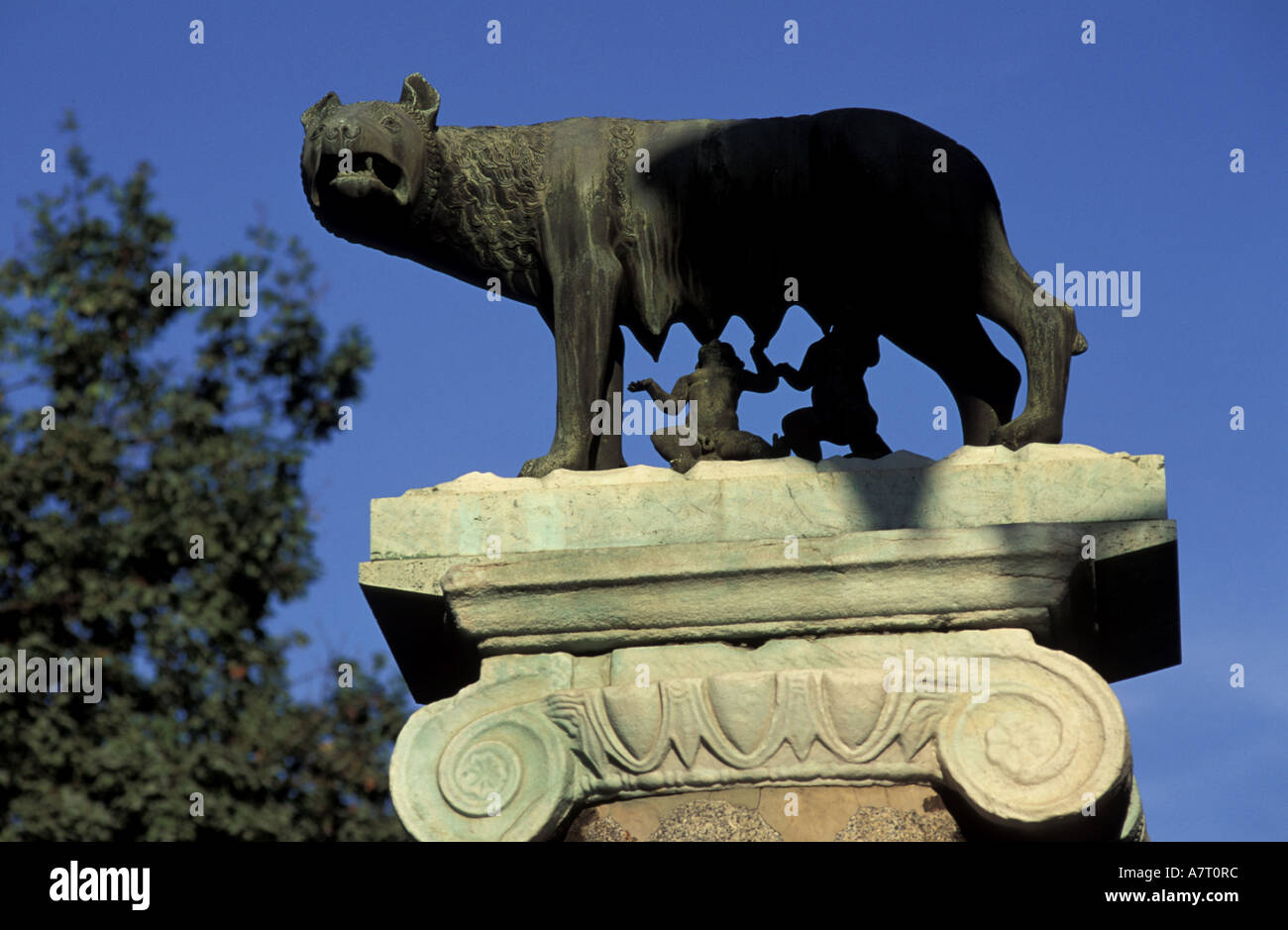 Louve romaine Banque de photographies et d’images à haute résolution ...