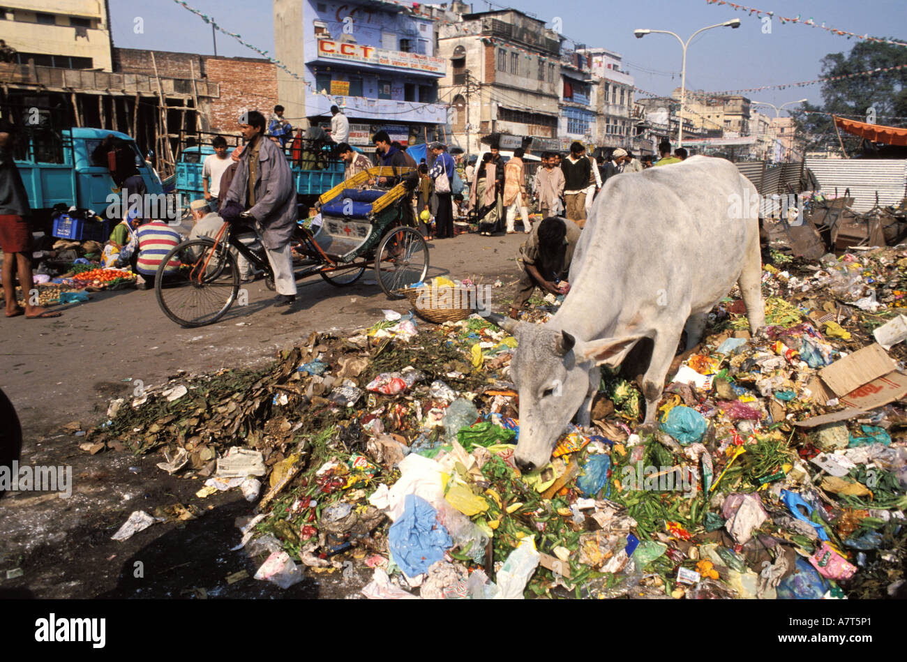 L'Inde, Old Delhi, la pollution dans la vieille ville Banque D'Images