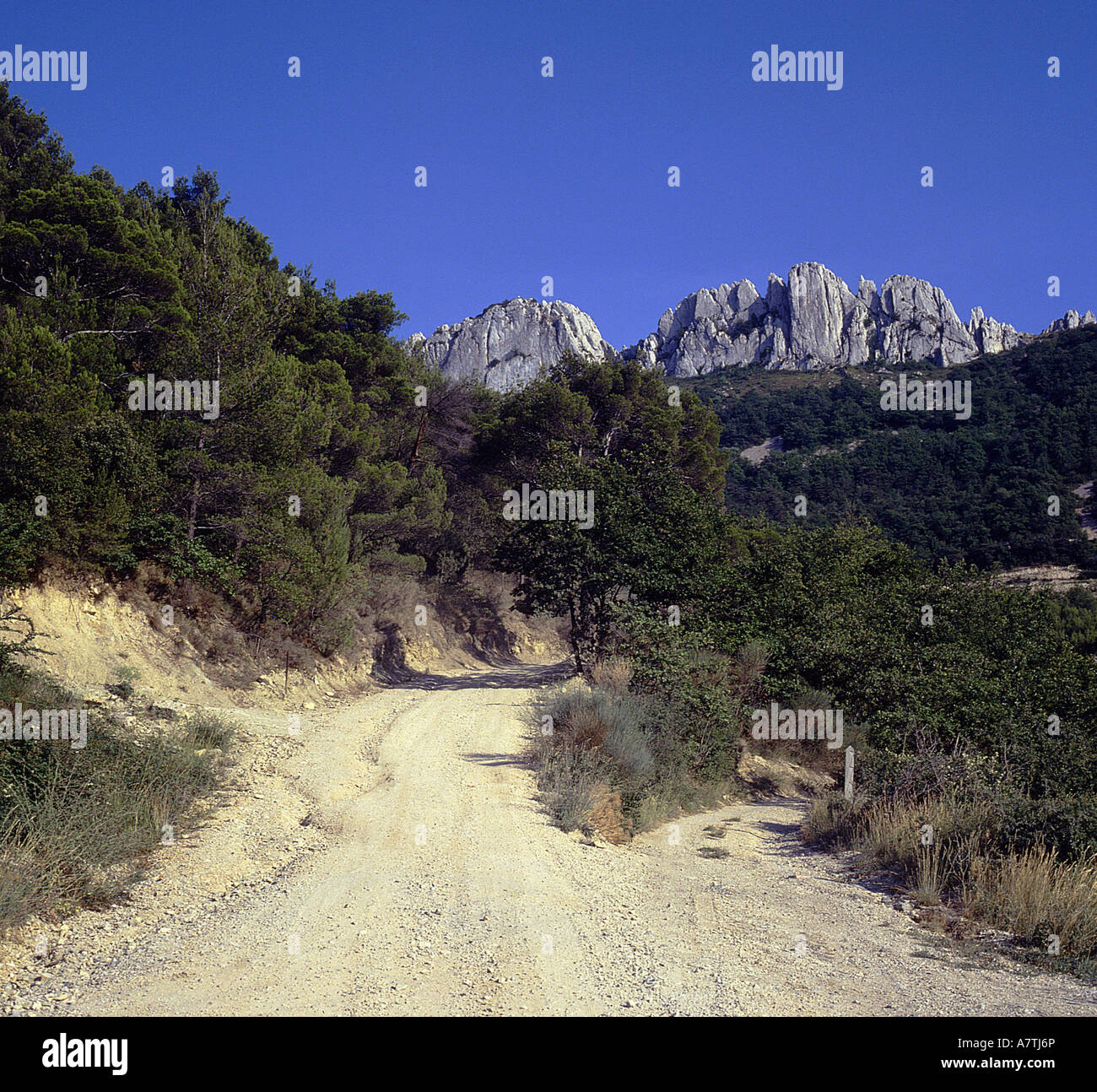 Route de terre en passant par la forêt, Gigondas, Vaucluse, Provence-Alpes-Côte d'Azur, France Banque D'Images