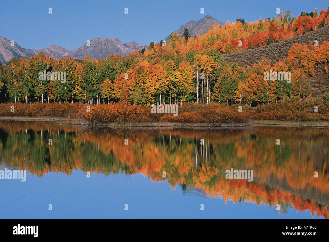 USA, Wyoming, Grand Tetons National Park à l'automne, Mt Moren, Oxbow Bend Banque D'Images