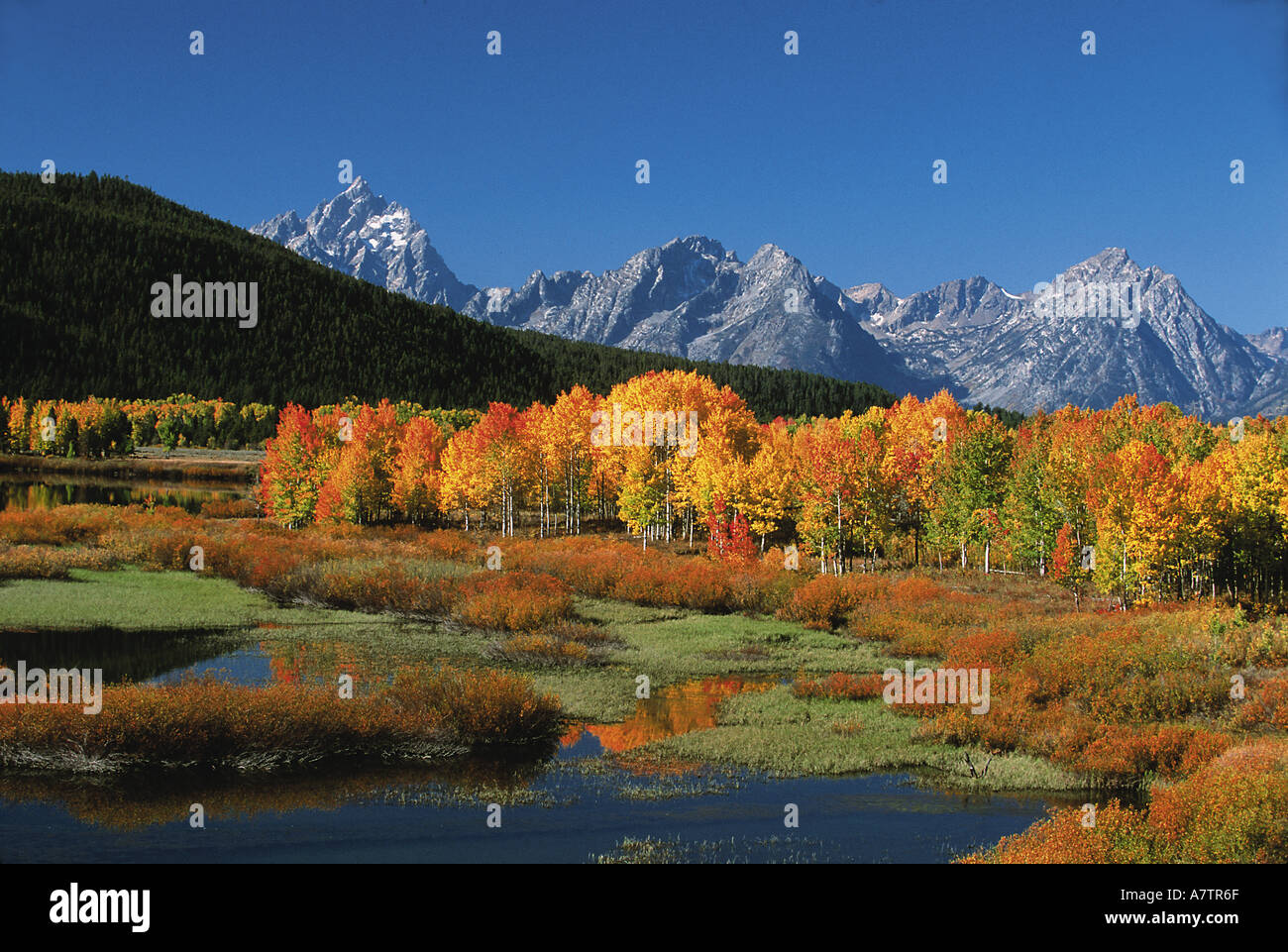 USA, Wyoming, Grand Tetons National Park à l'automne, Mt Moren, Oxbow Bend Banque D'Images