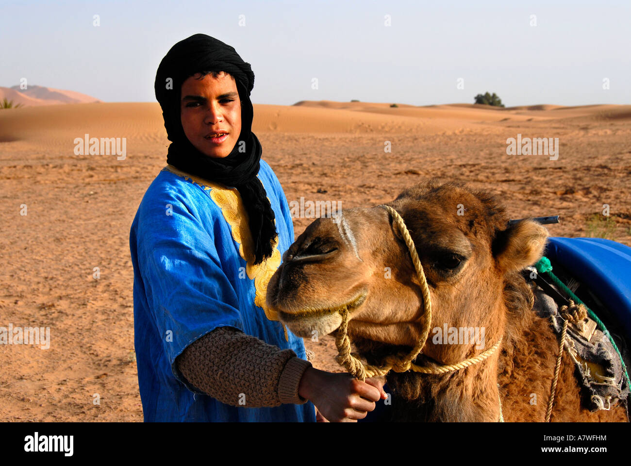 Garçon touareg avec chameau dans le désert Erg Chebbi Merzouga Maroc Banque D'Images