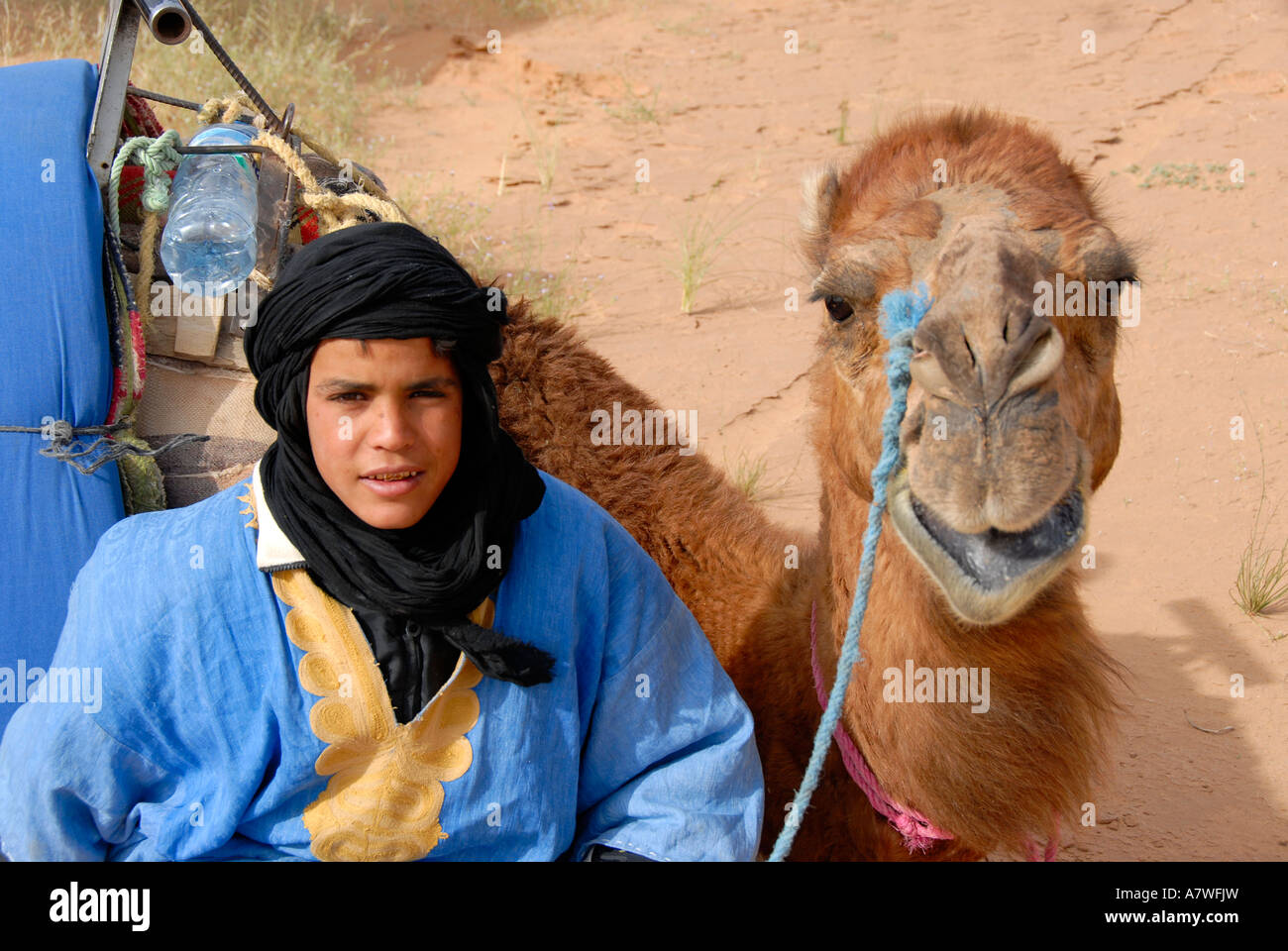 Garçon touareg est titulaire d'chameau dans le désert Erg Chebbi Merzouga Maroc Banque D'Images
