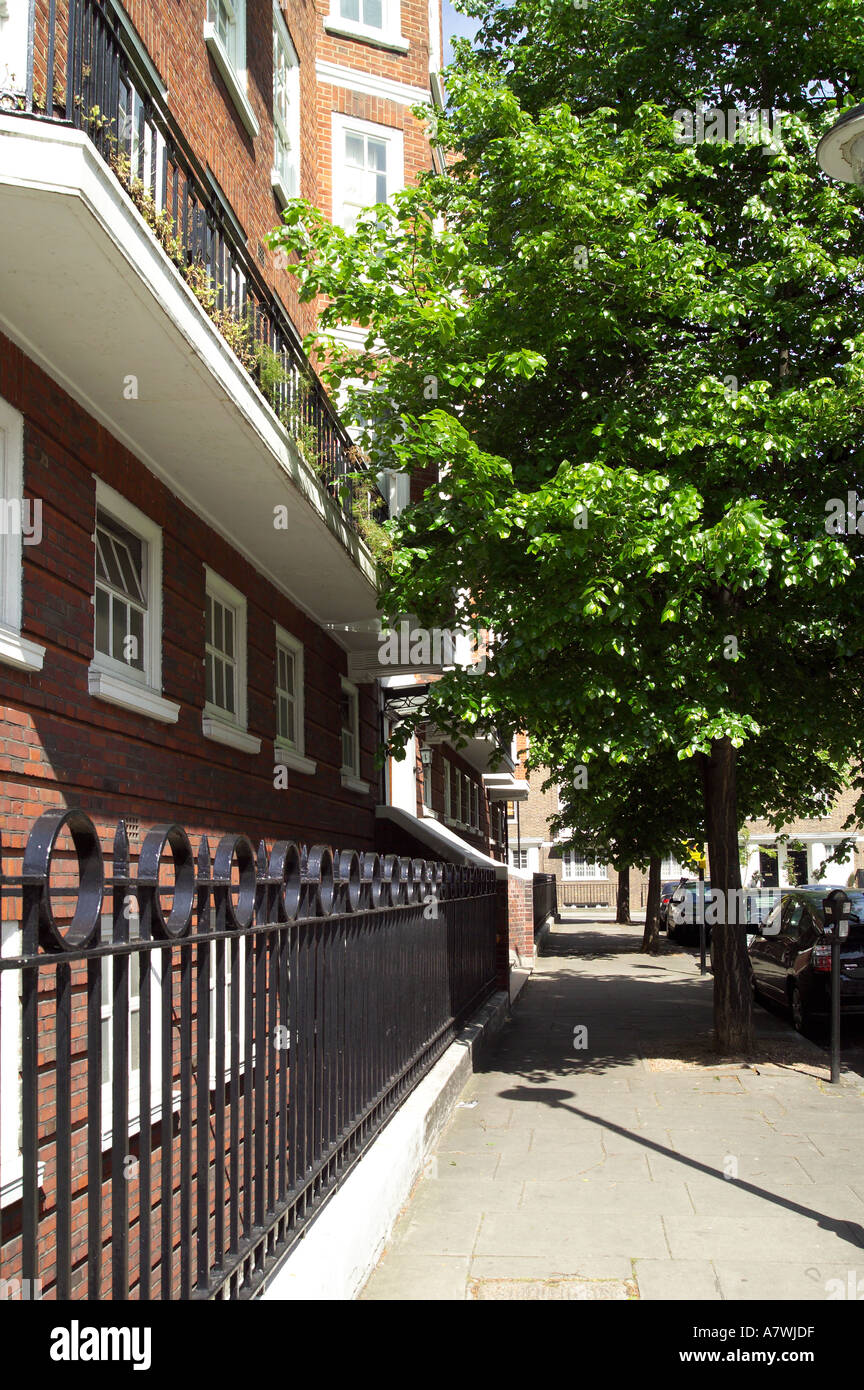 Tree lined Street à Londres Banque D'Images