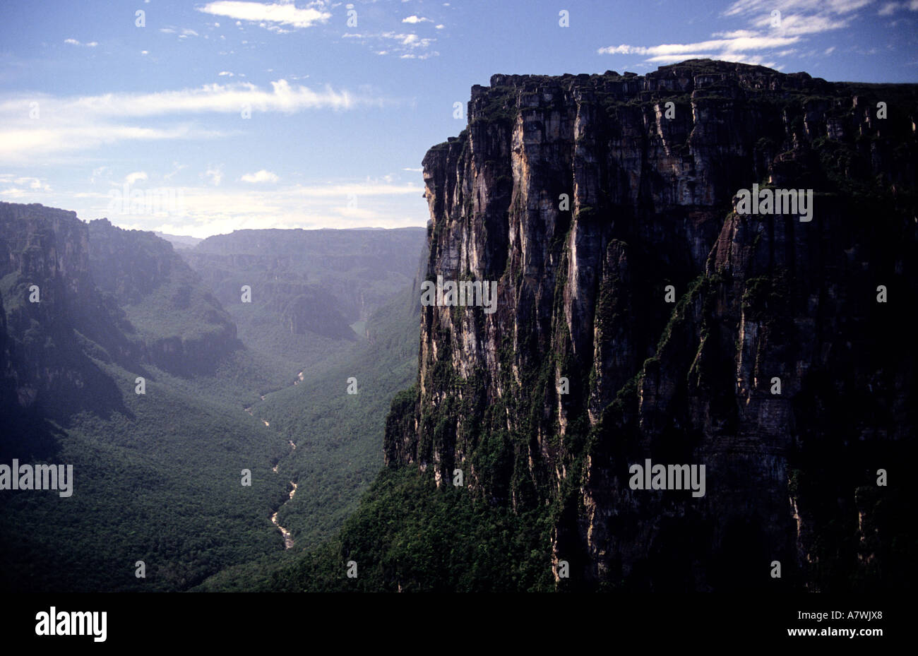 Le Venezuela, région de Guayana, le canyon de Salto Angel Banque D'Images