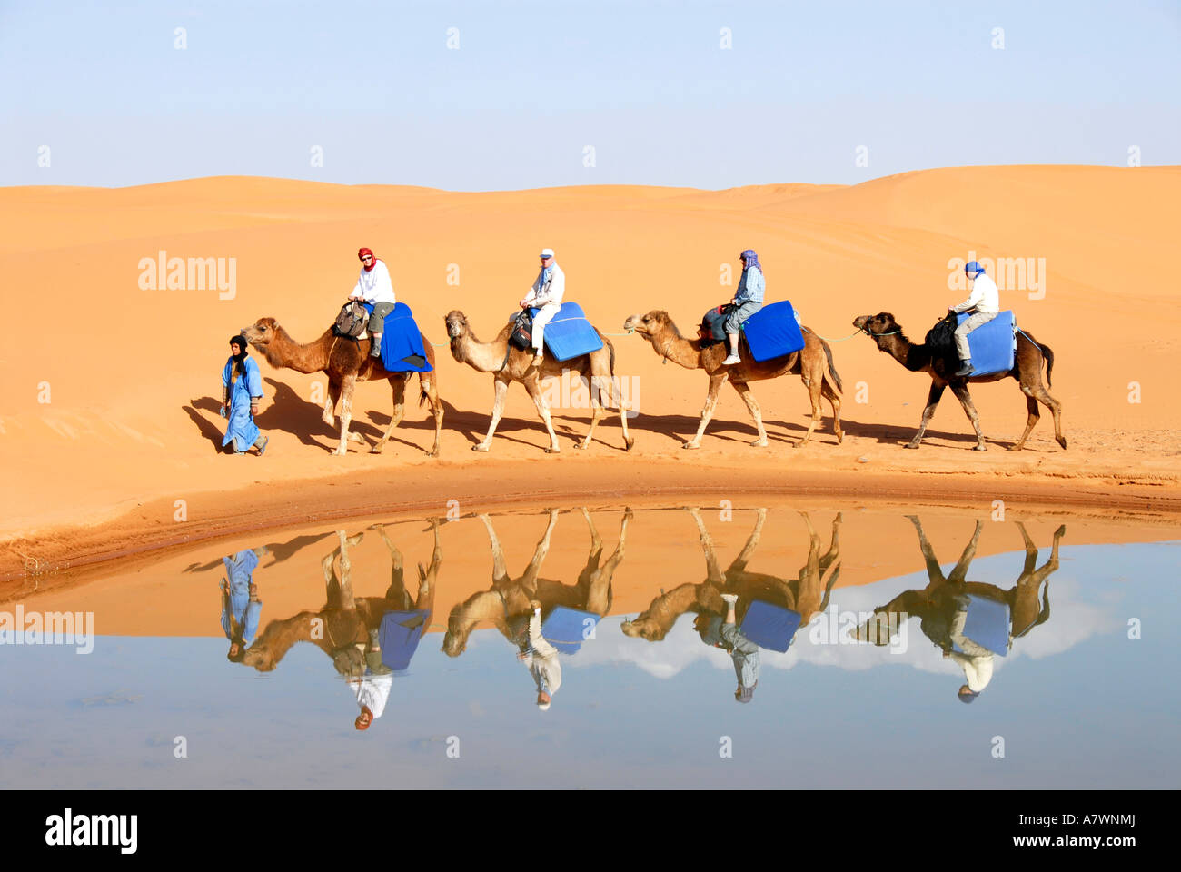Quatre chameaux avec cavaliers miroir dans l'eau avec sanddunes Erg Chebbi Merzouga Maroc Banque D'Images