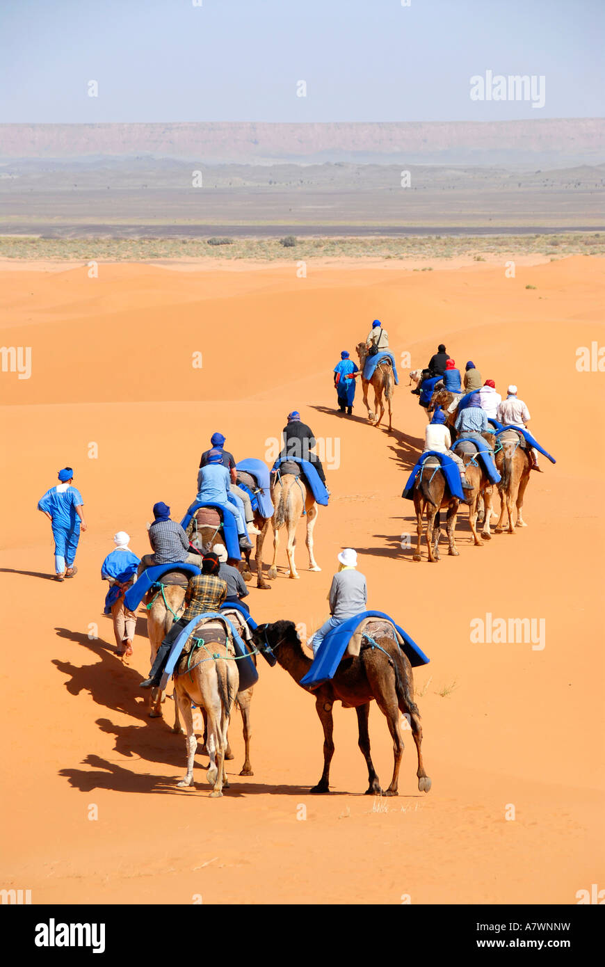 Groupe de touristes, des promenades en chameau à travers le sable Erg Chebbi Merzouga Maroc Banque D'Images