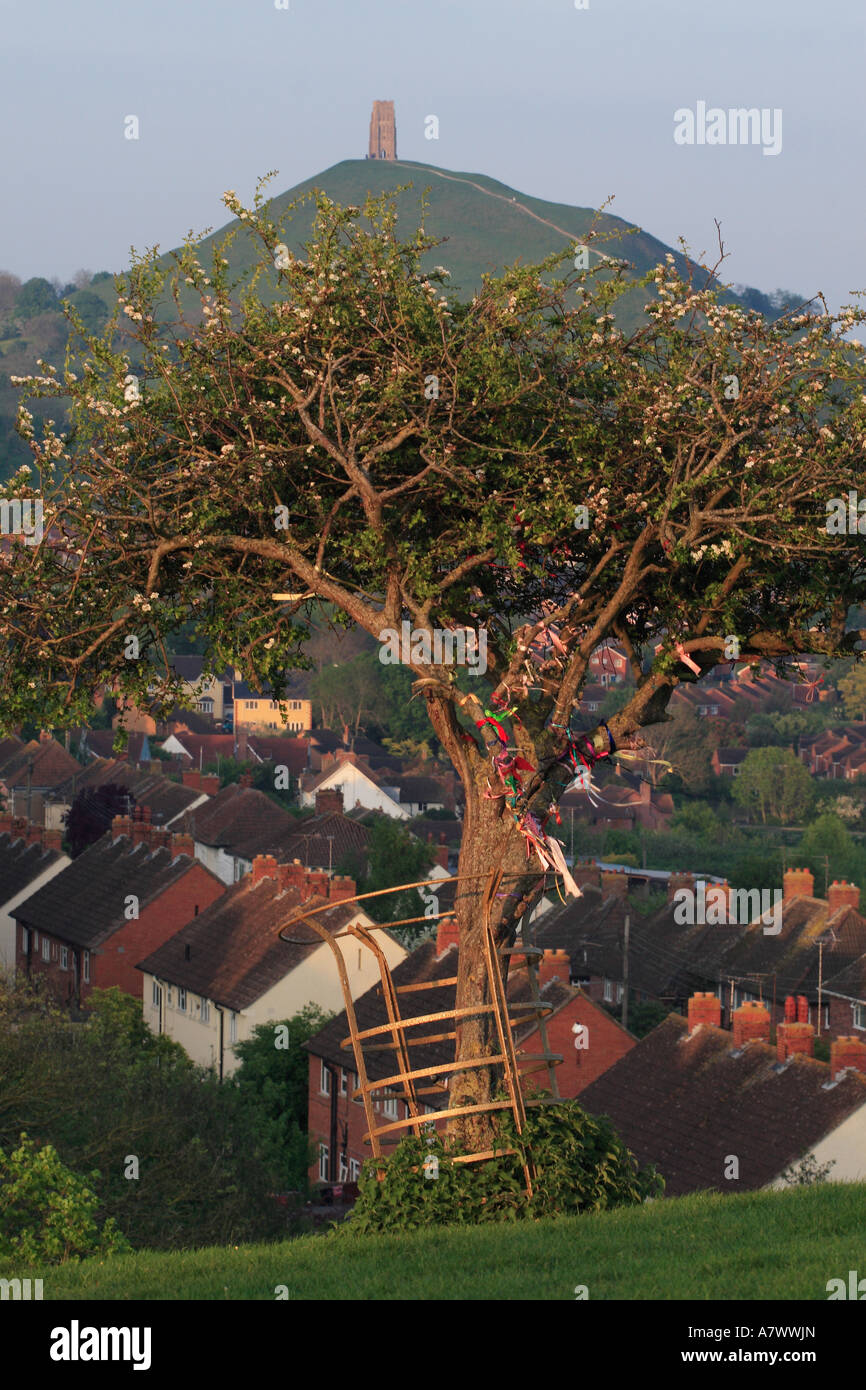 Glastonbury Tor et la sainte décorées Thorn Tree sur Wearyall Hill a dit avoir été planté par Joseph d'Aramathea Banque D'Images