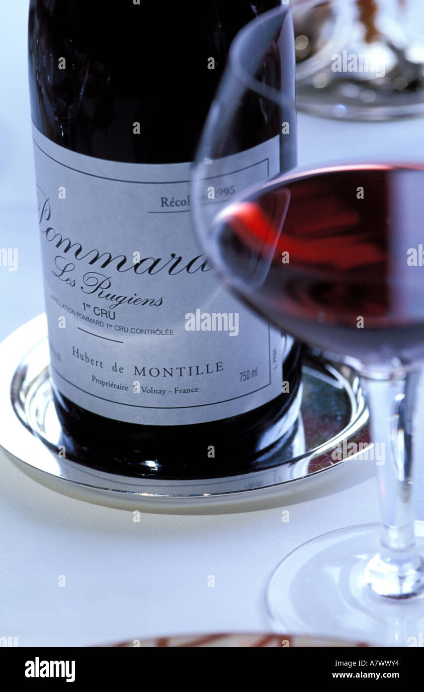 France, Côte d'Or, vin de Bourgogne Pommard Hubert de Montille, proprietaire d'un Volnay Banque D'Images