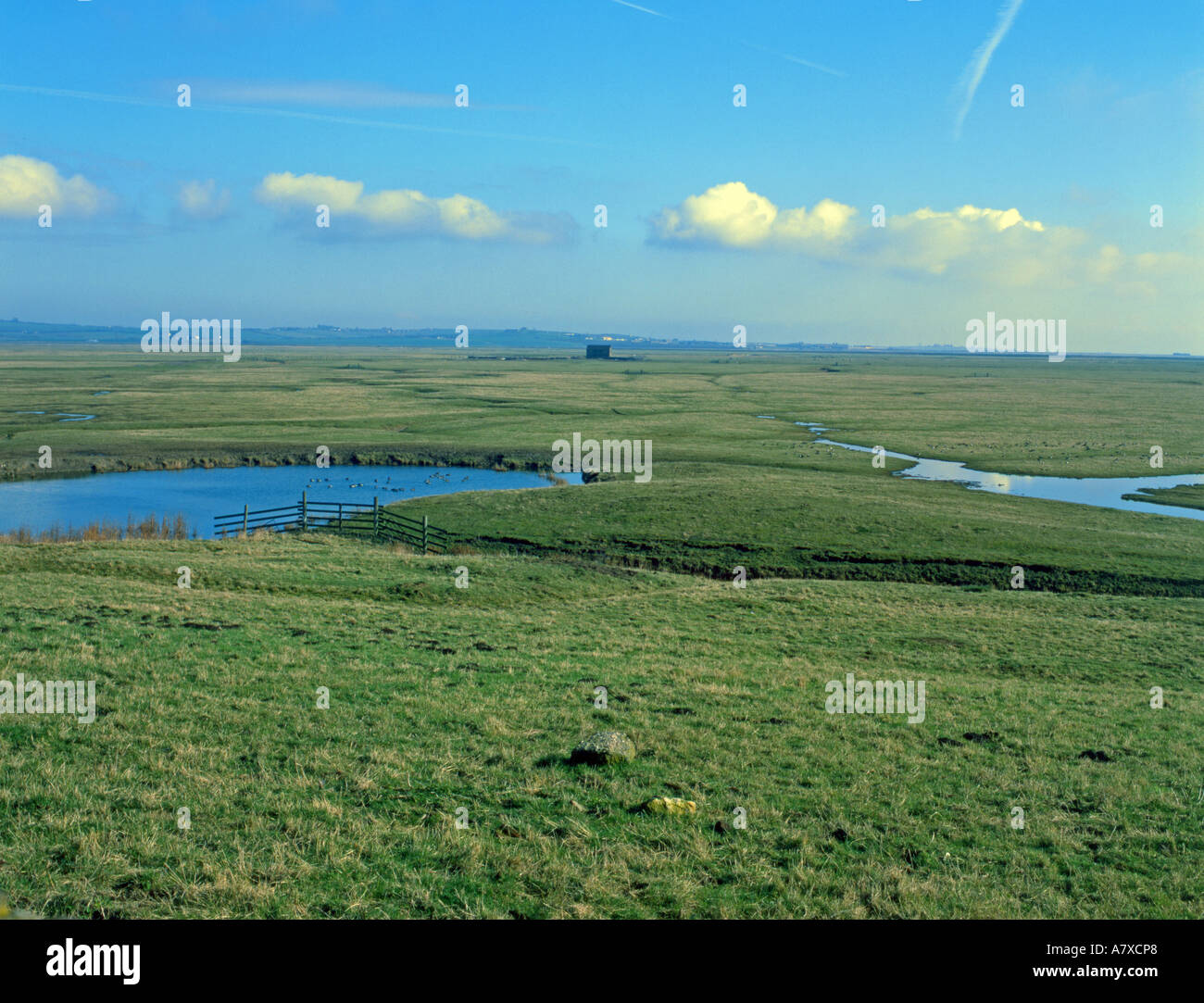 Elmley Marais. Réserve humide important fossé Lagune Marais Pâturage Ile de Sheppy Février Kent Banque D'Images