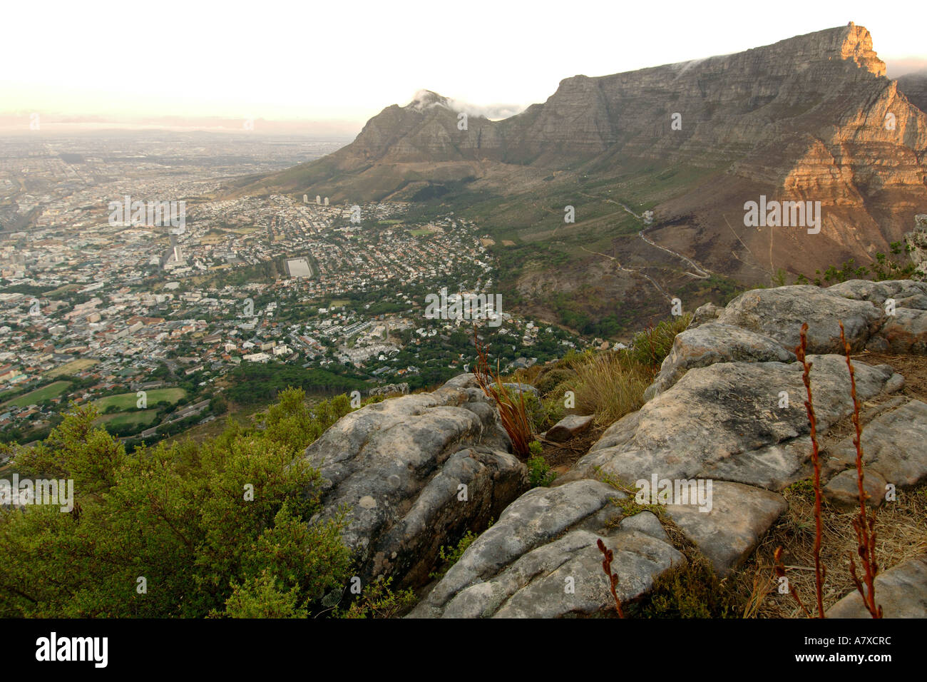 Vue sur la Montagne de la table et la ville du Cap de Lion's Head. Banque D'Images