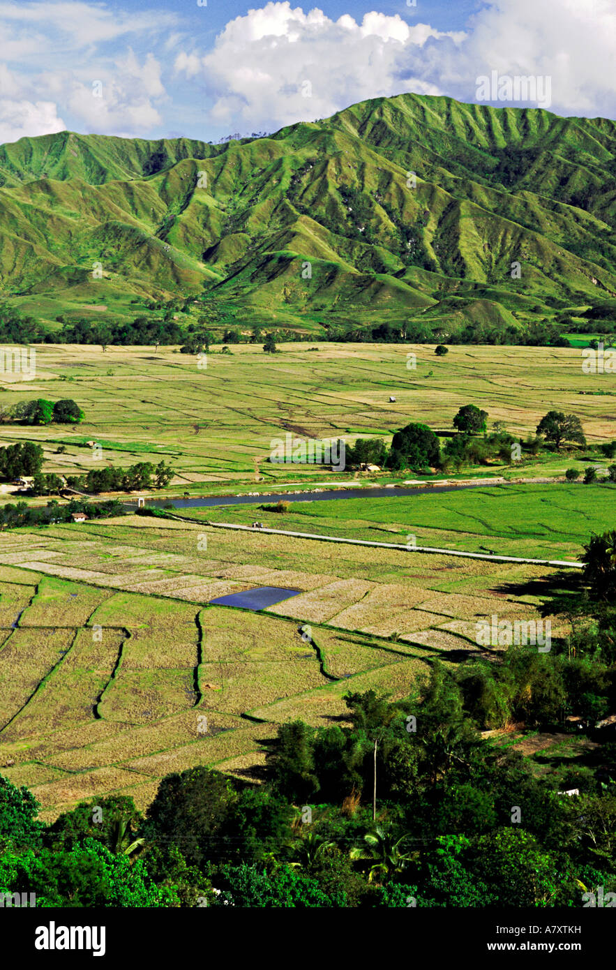 L'Asie, Philippines, Nueva Vizcaya, Province Aritao. Les rizières couvrent Aritao Valley dans Central Luzon Banque D'Images