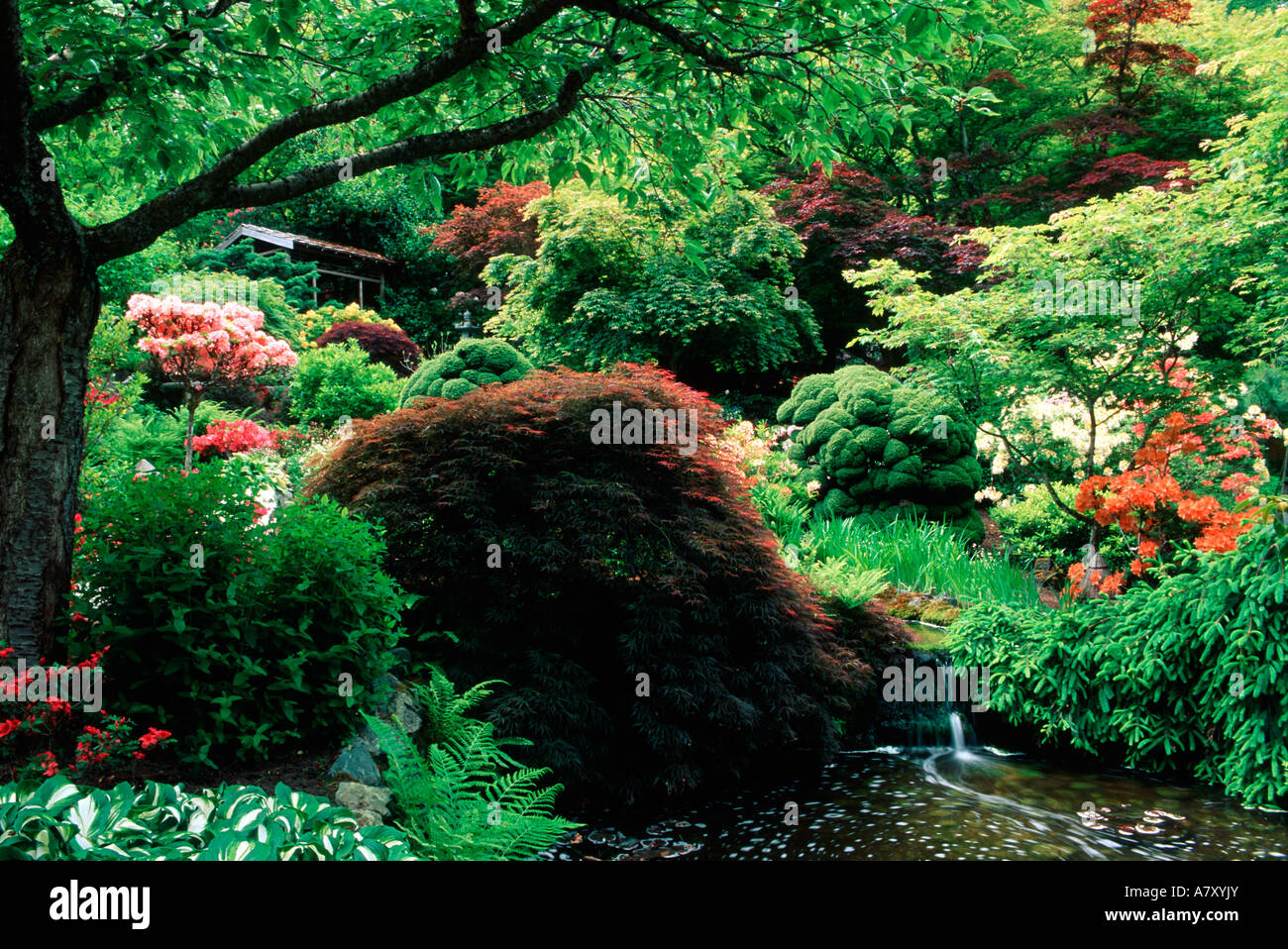 Les jardins Butchart, British Columbia, Canada Banque D'Images