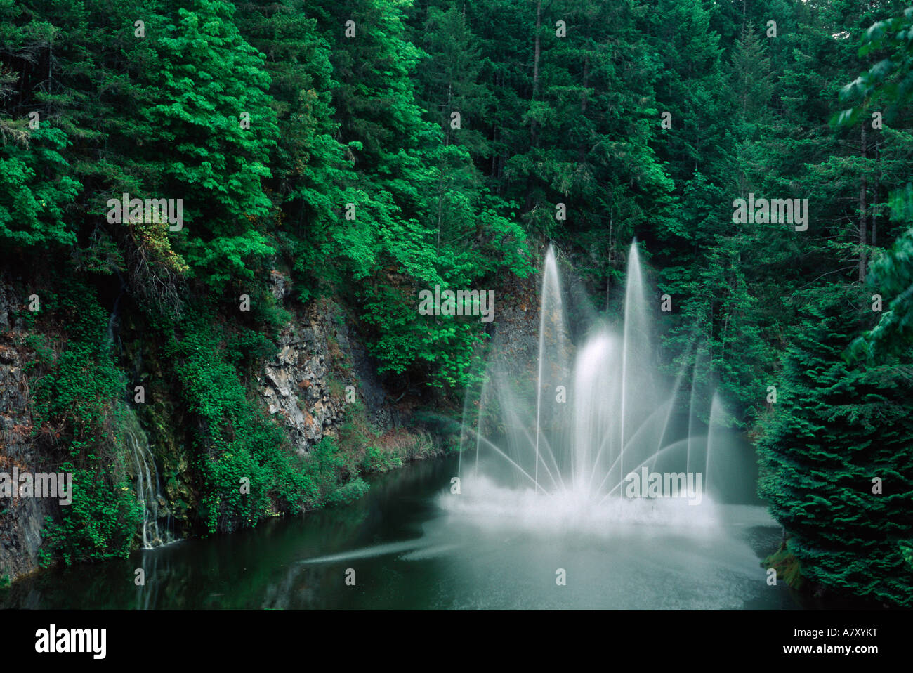 Les jardins Butchart, British Columbia, Canada Banque D'Images