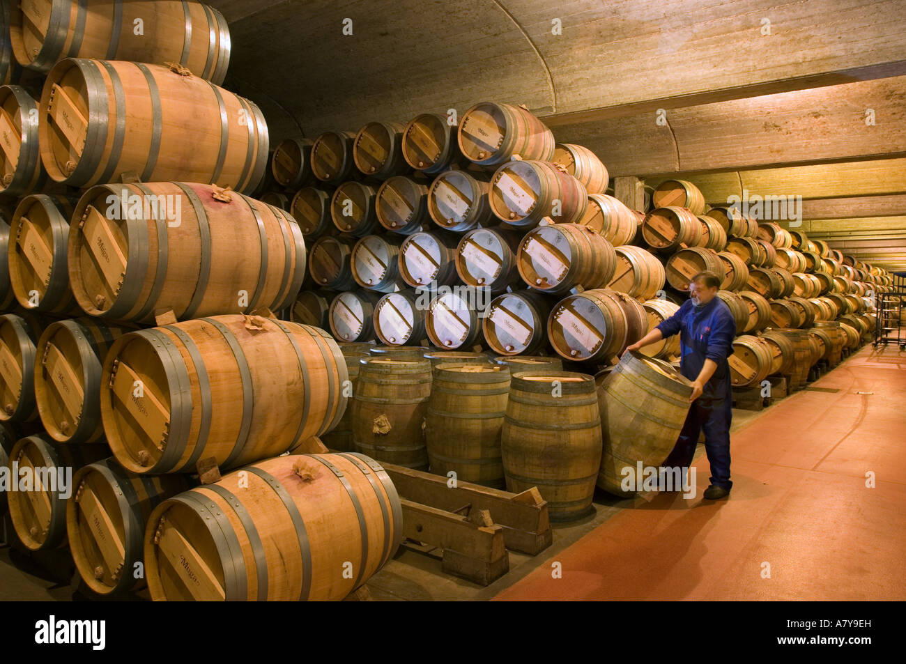 En bleu de travail déménagement l'un des 14 000 barriques holding wine en Bodega Muga dans village de Haro Banque D'Images