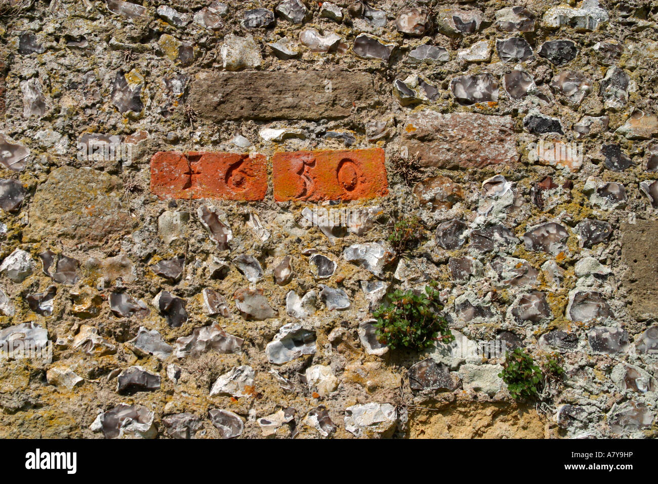 Pierre incisée avec la date 1650 dans le mur de Flint Sussex à l'église paroissiale St Nicholas, Arundel. Érigée pendant la guerre civile anglaise. Banque D'Images