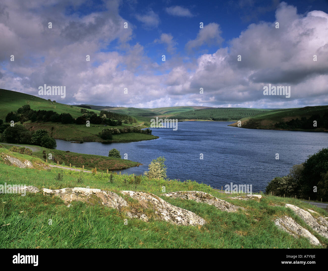 En juin RÉSERVOIR LLYN CLYWEDOG Powys Pays de Galles UK Banque D'Images