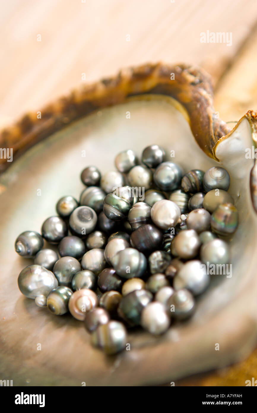 La culture de la perle noire à Hinano Pearl Farm, Fakarava, Tuamotu, Polynésie Française Banque D'Images