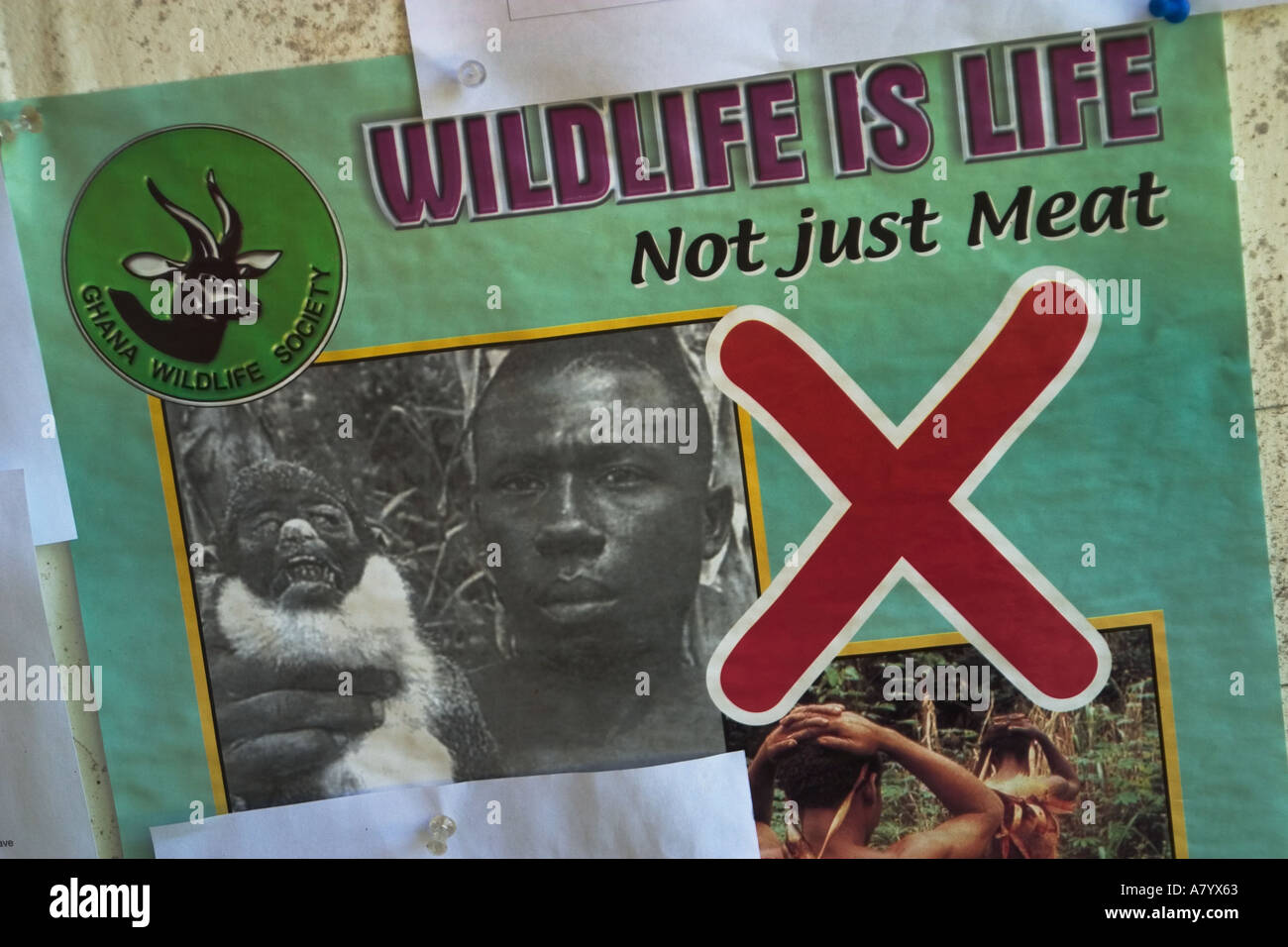 La chasse anti affiche sur panneau d'entreprise Afrique de l'Ouest Ghana Banque D'Images