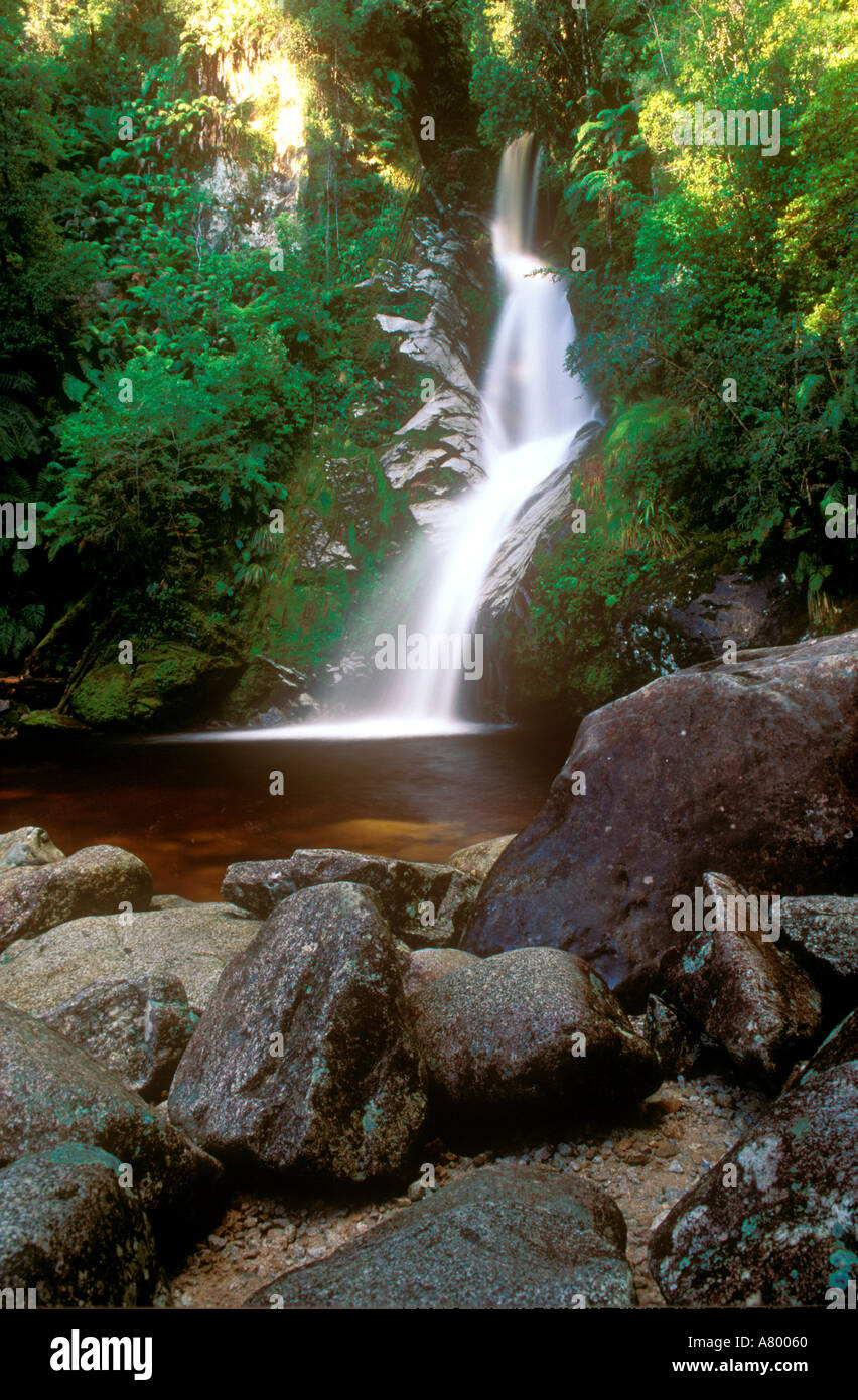 La CÔTE OUEST DE LA Nouvelle-zélande LAKE KANIERE Le pittoresque Dorothy Falls un endroit populaire pour les touristes et les habitants Banque D'Images