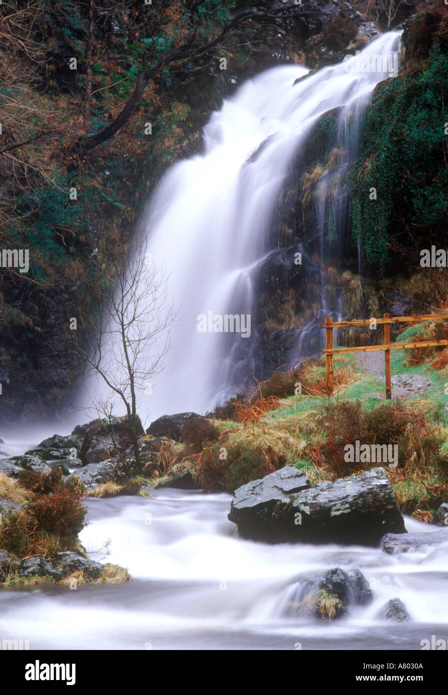 Juments gris cascade Queue Dumfries et Galloway Scotland UK Banque D'Images