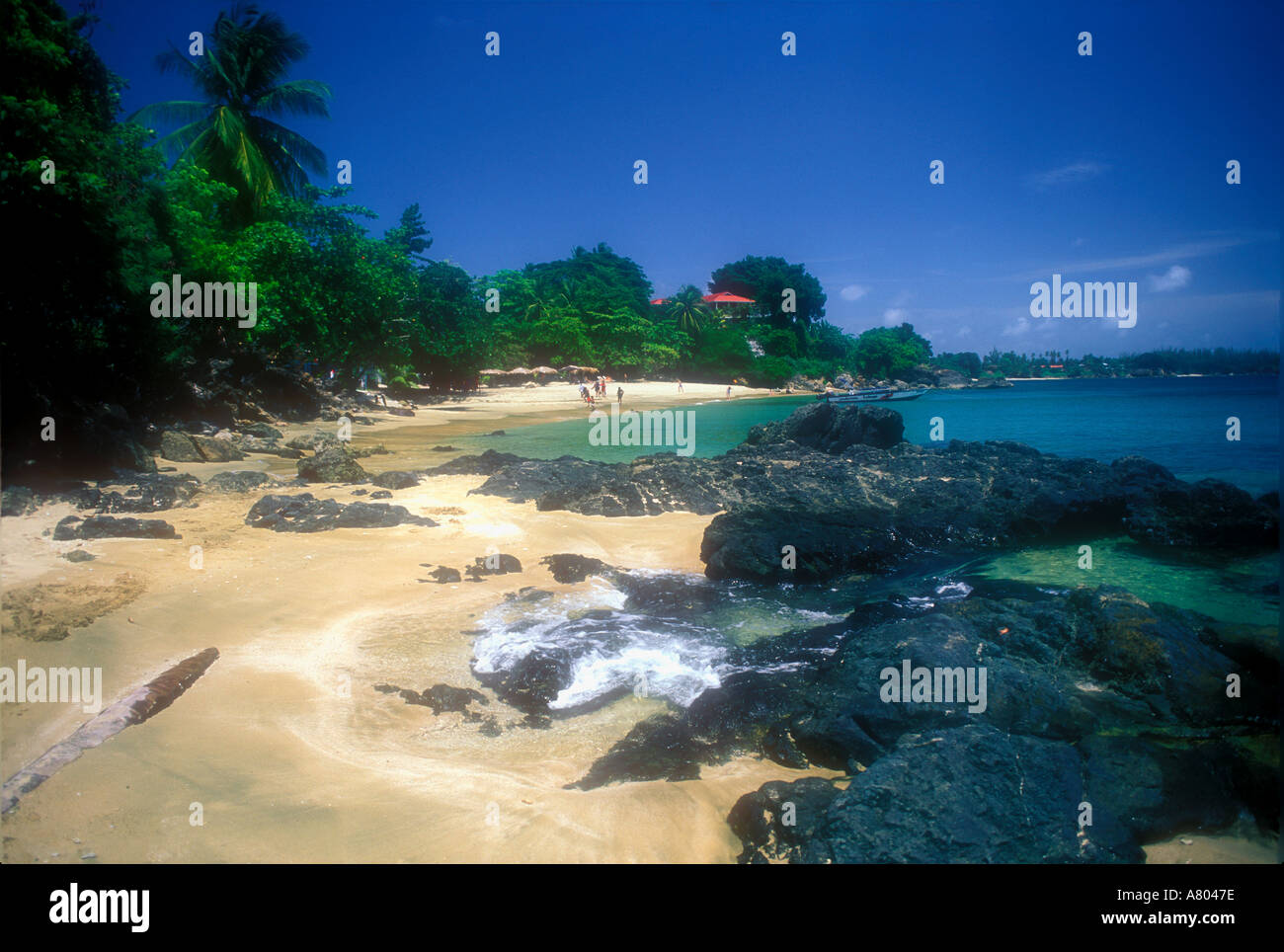 La plage et les récifs à Mount Irvine Bay Tobago Antilles Caraïbes Banque D'Images