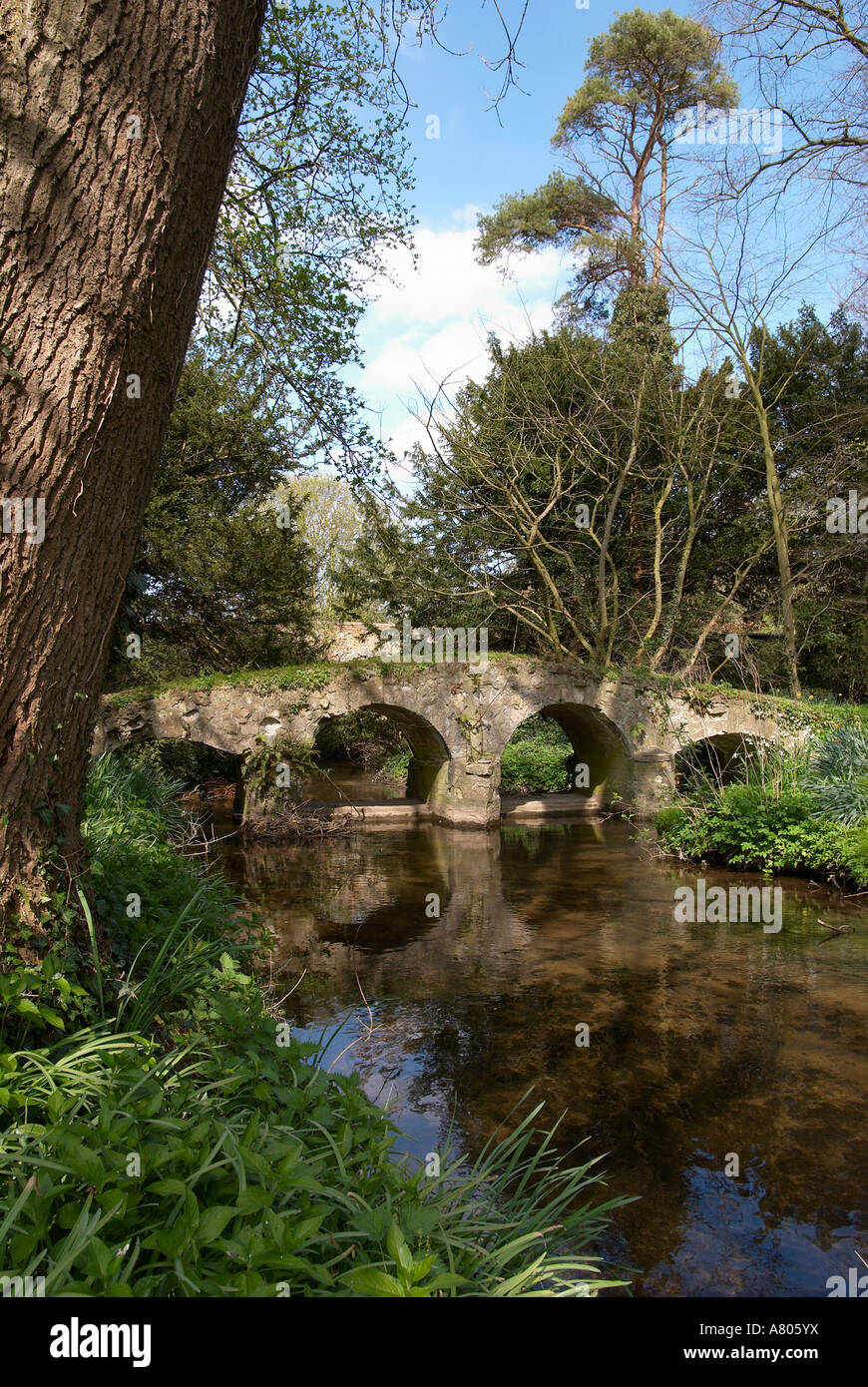 Pack de vieux pont de chevaux dans les ruines de l'abbaye de Walsingham et ancien prieuré, motifs peu Walsingham, North Norfolk, Angleterre 2007. Banque D'Images