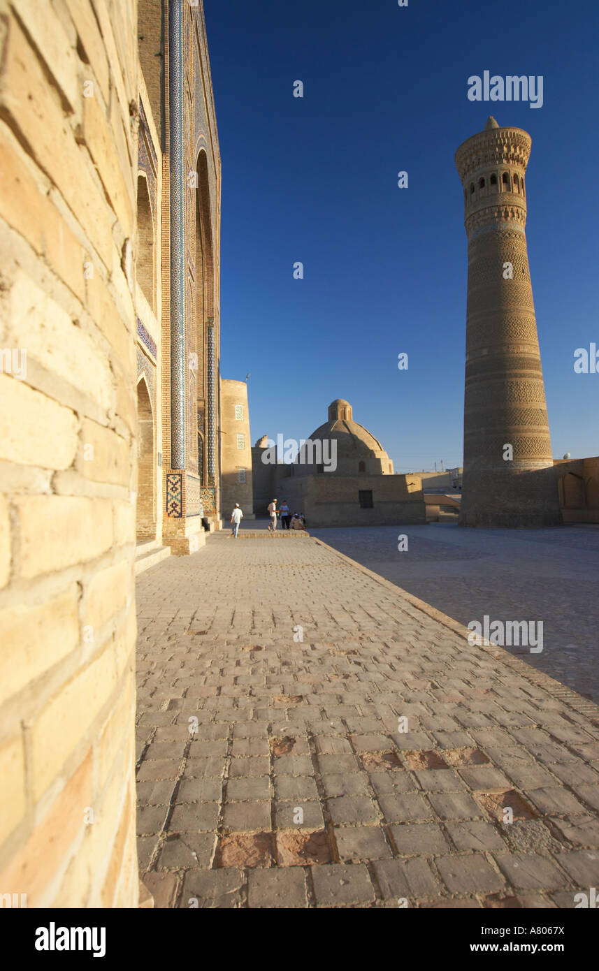 Vue du Kalon Minaret et Mir-i-Arab Medressa, Boukhara Banque D'Images