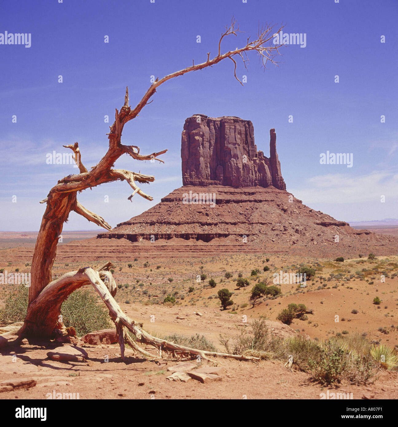 Vue du célèbre désert de couleur rouge et l'une des principales buttes de Monument Valley, dans le nord-est de la frontière de l'Utah Arizona USA Banque D'Images