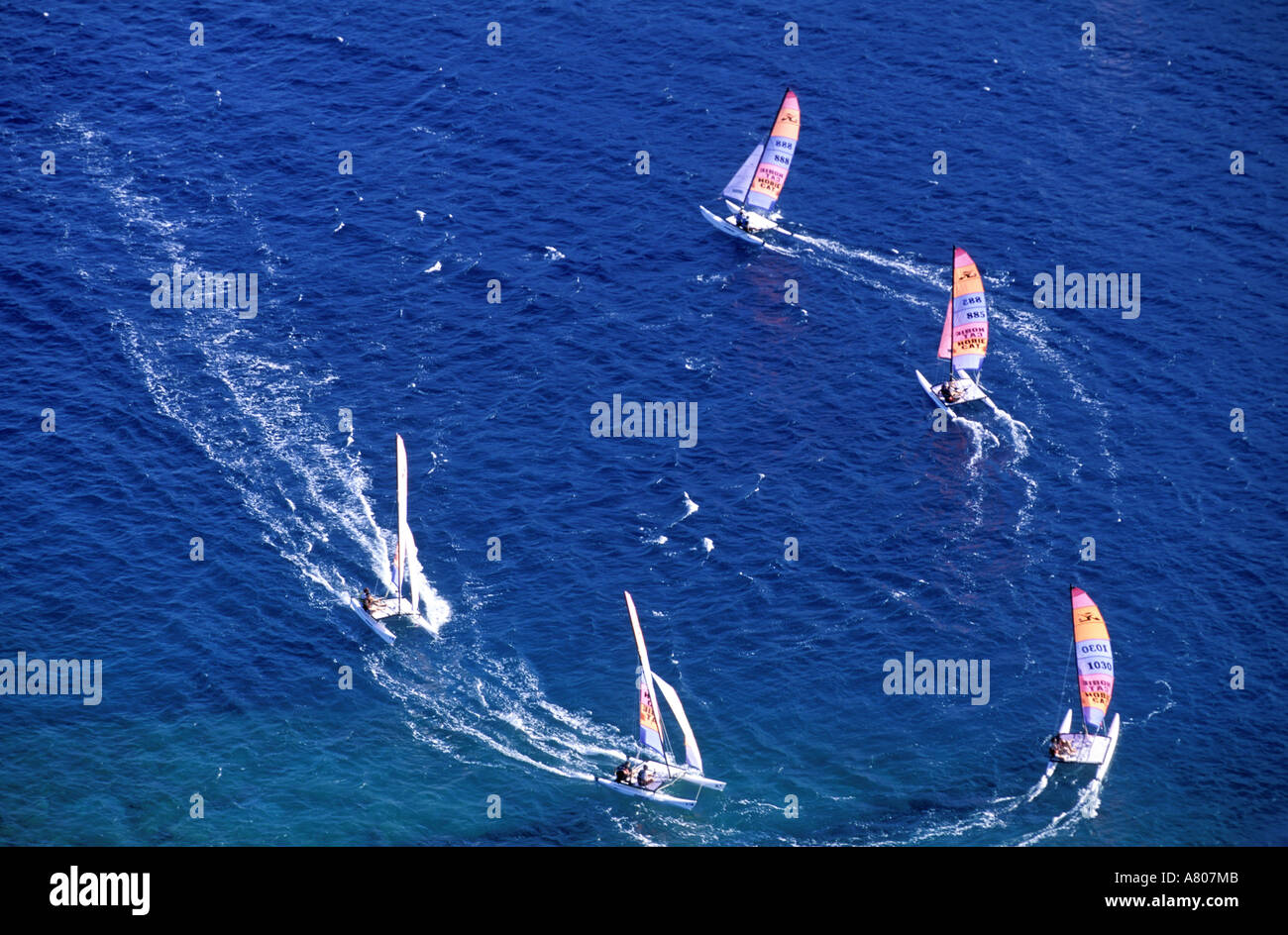 French West Indies, Guadeloupe, archipel des Saintes, Terre de haut, l'UCPA catamaran Hobie Cat Banque D'Images