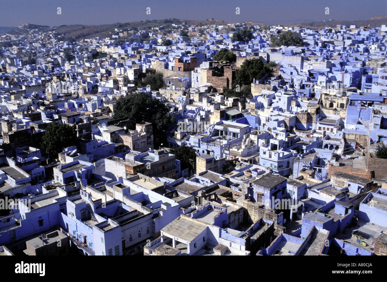 L'Inde, du Rajasthan, de Jodhpur, la ville bleue Banque D'Images