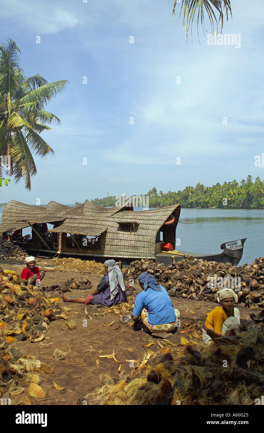 Kerala Backwater, noix de coco et Village Banque D'Images