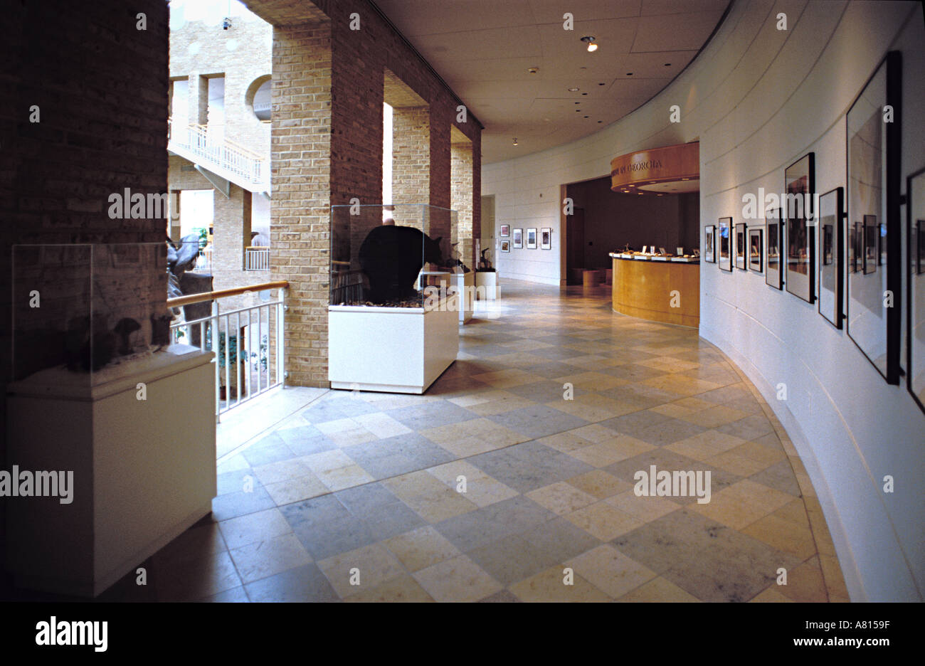 Intérieur de Fernbank Science Museum Atlanta GA USA Banque D'Images