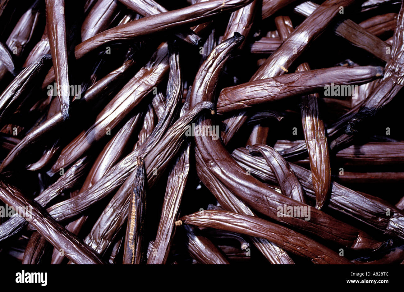 La France, la Polynésie française, les îles sous le vent, la production de vanille à Tahaa Banque D'Images